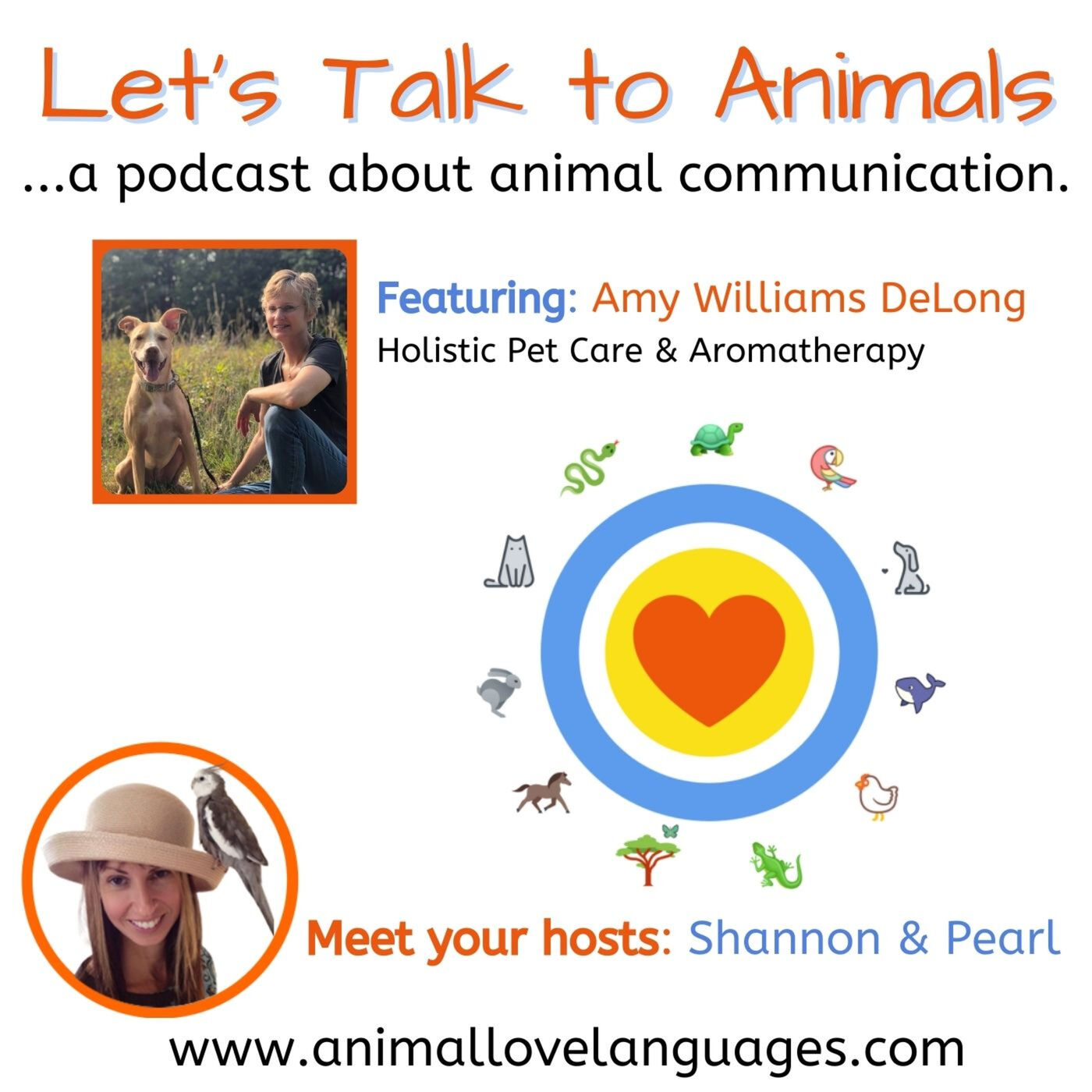 Let\'s Talk to Animals