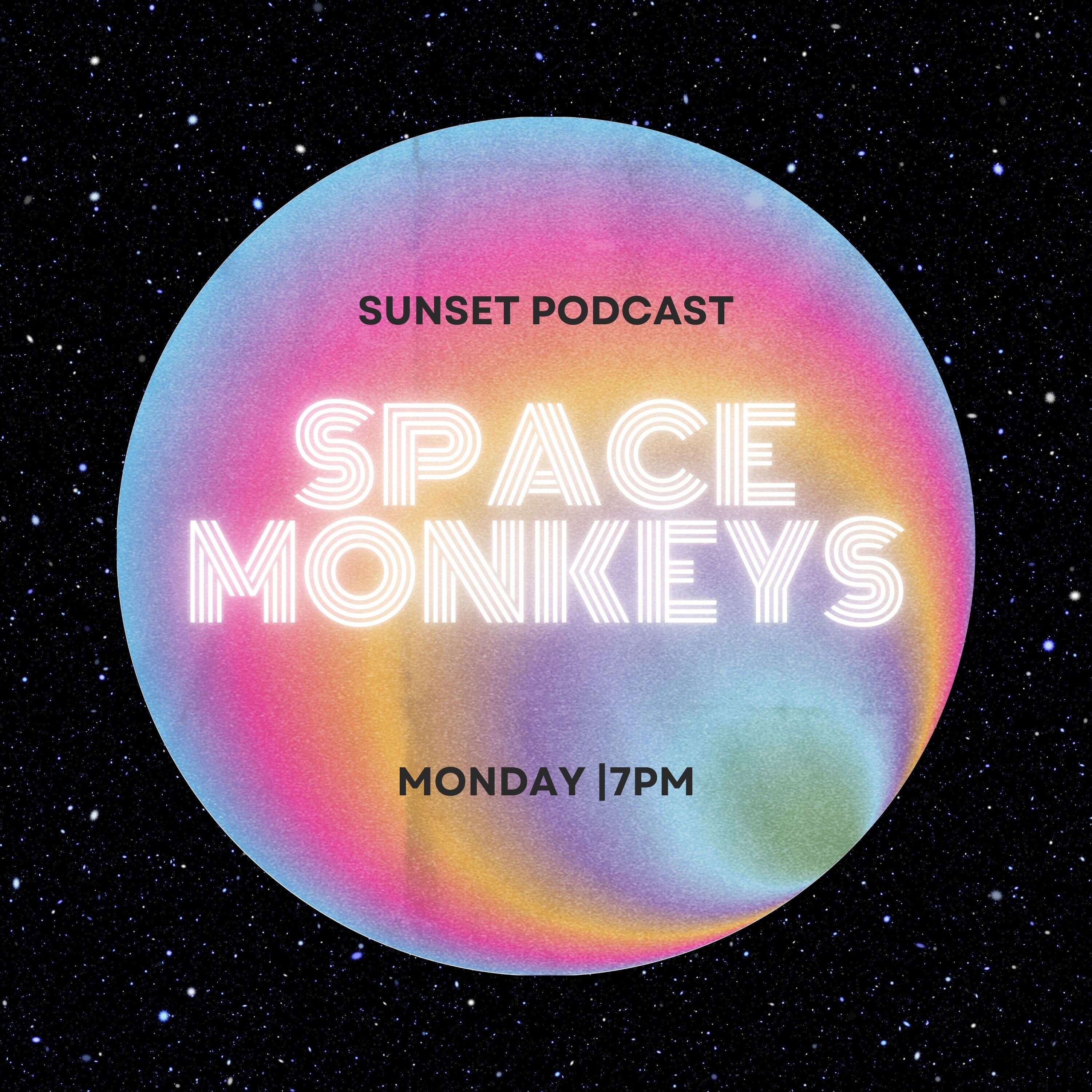 Space Monkeys