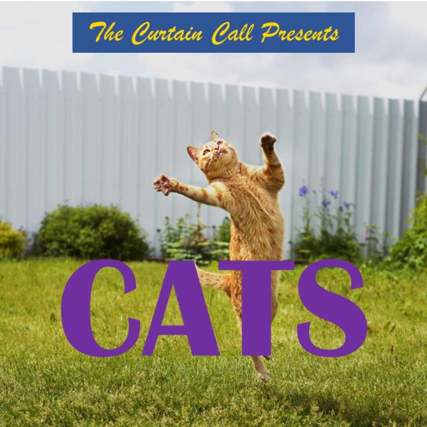 The Curtain Call