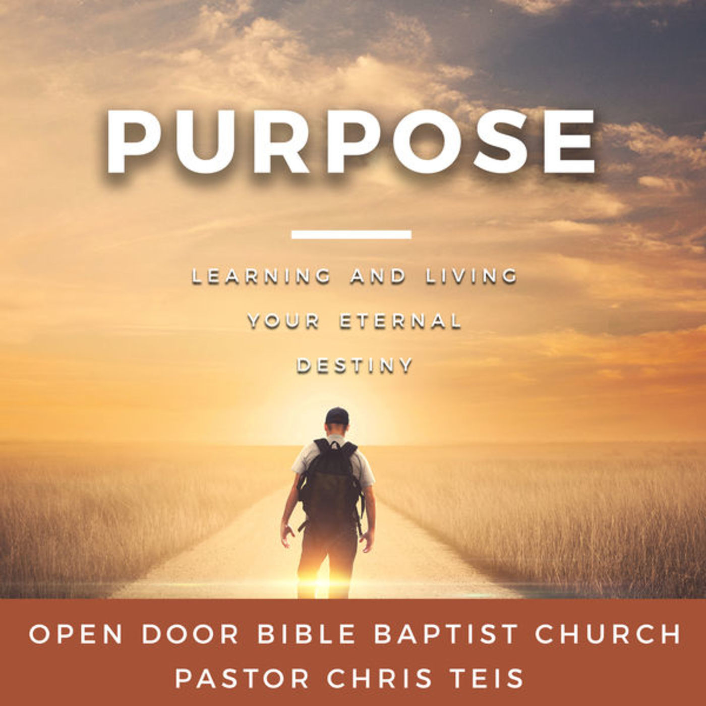 Purpose: Part 13- Walk in Love