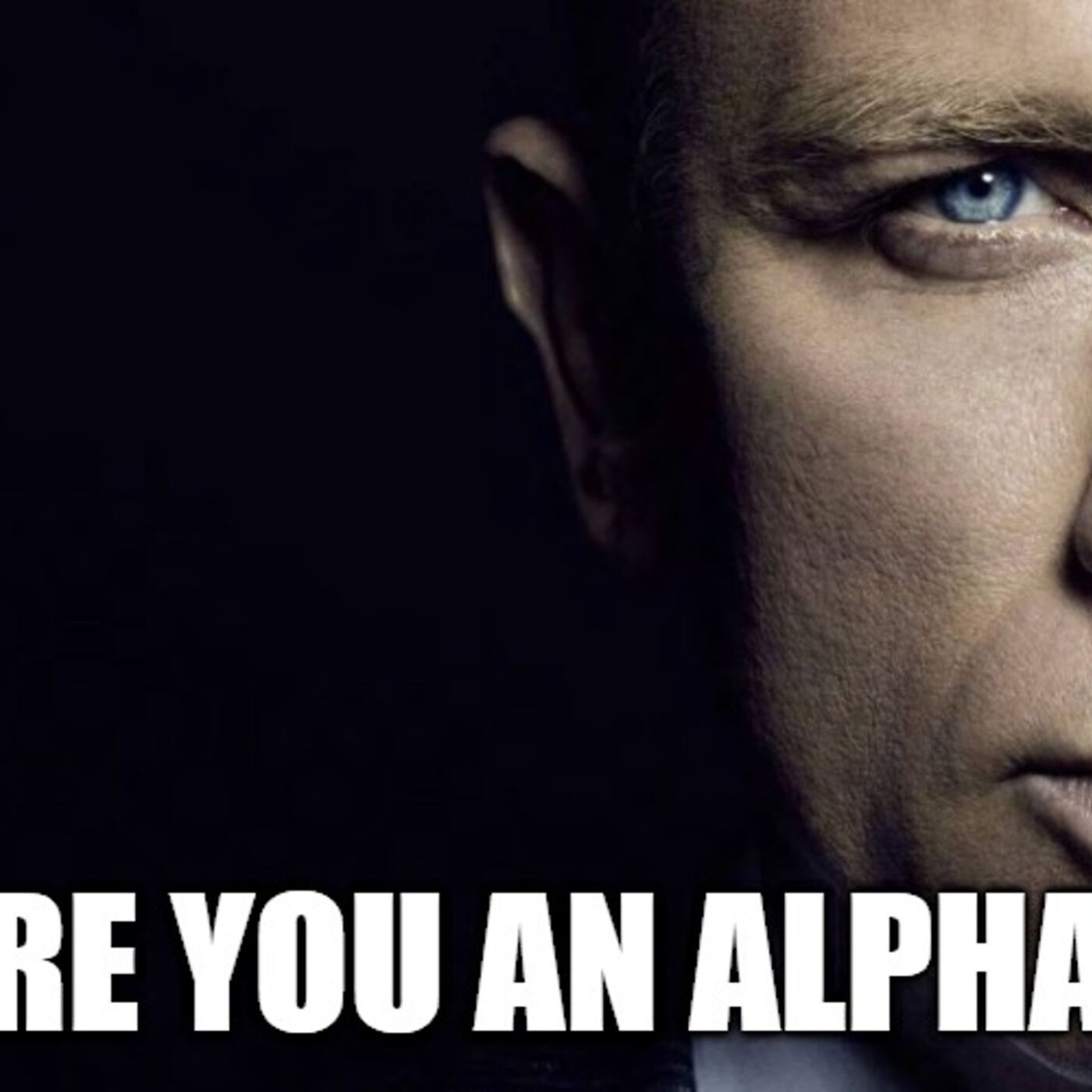 Are You An Alpha Male?