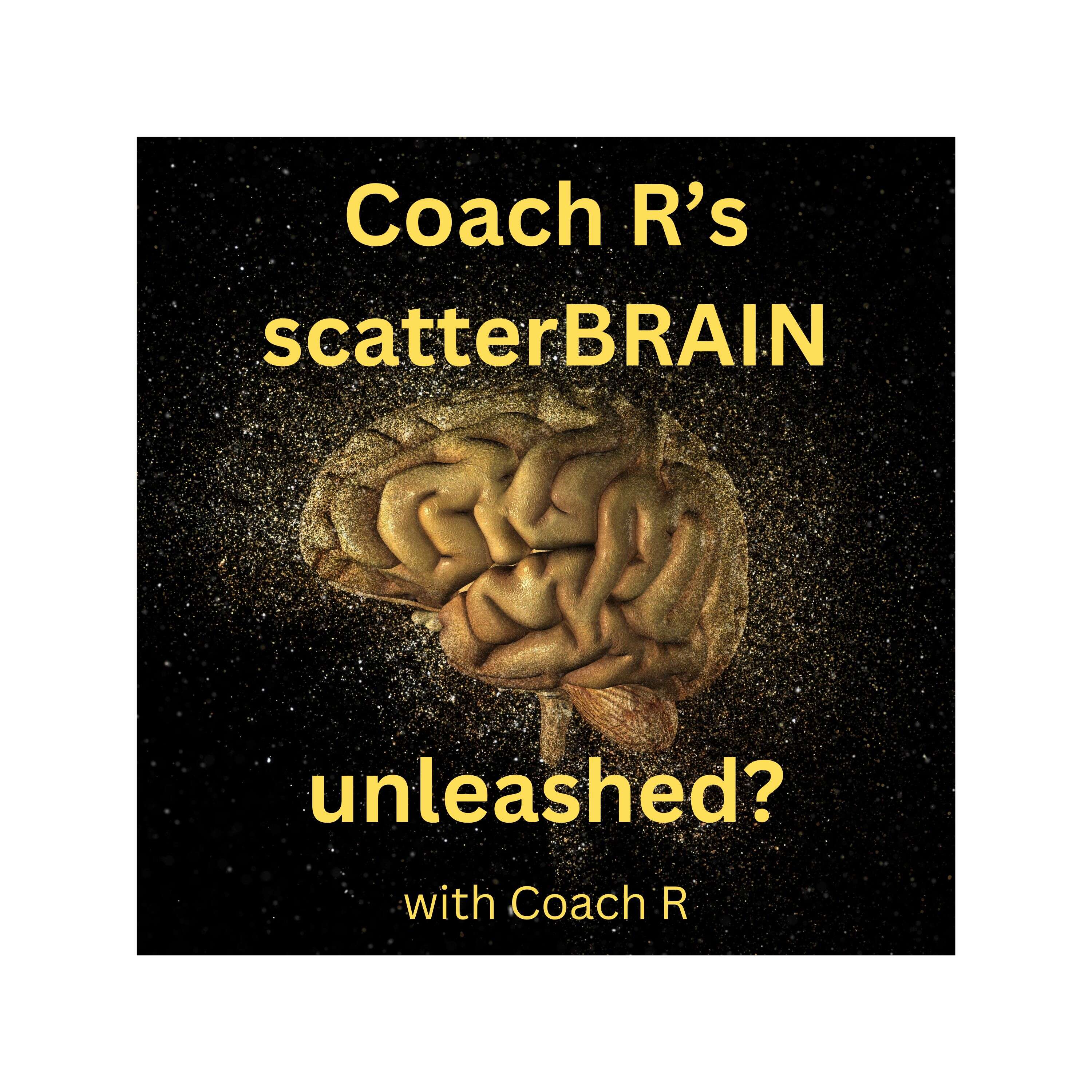 Coach R's scatterBRAIN...unleashed?