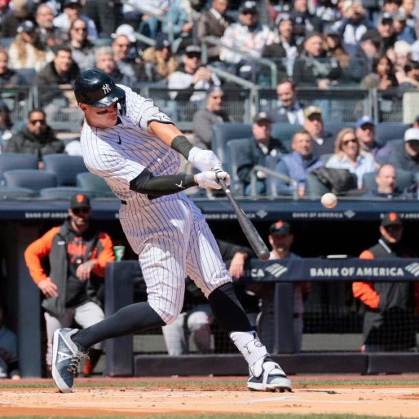 JD TALKIN SPORTS #1259