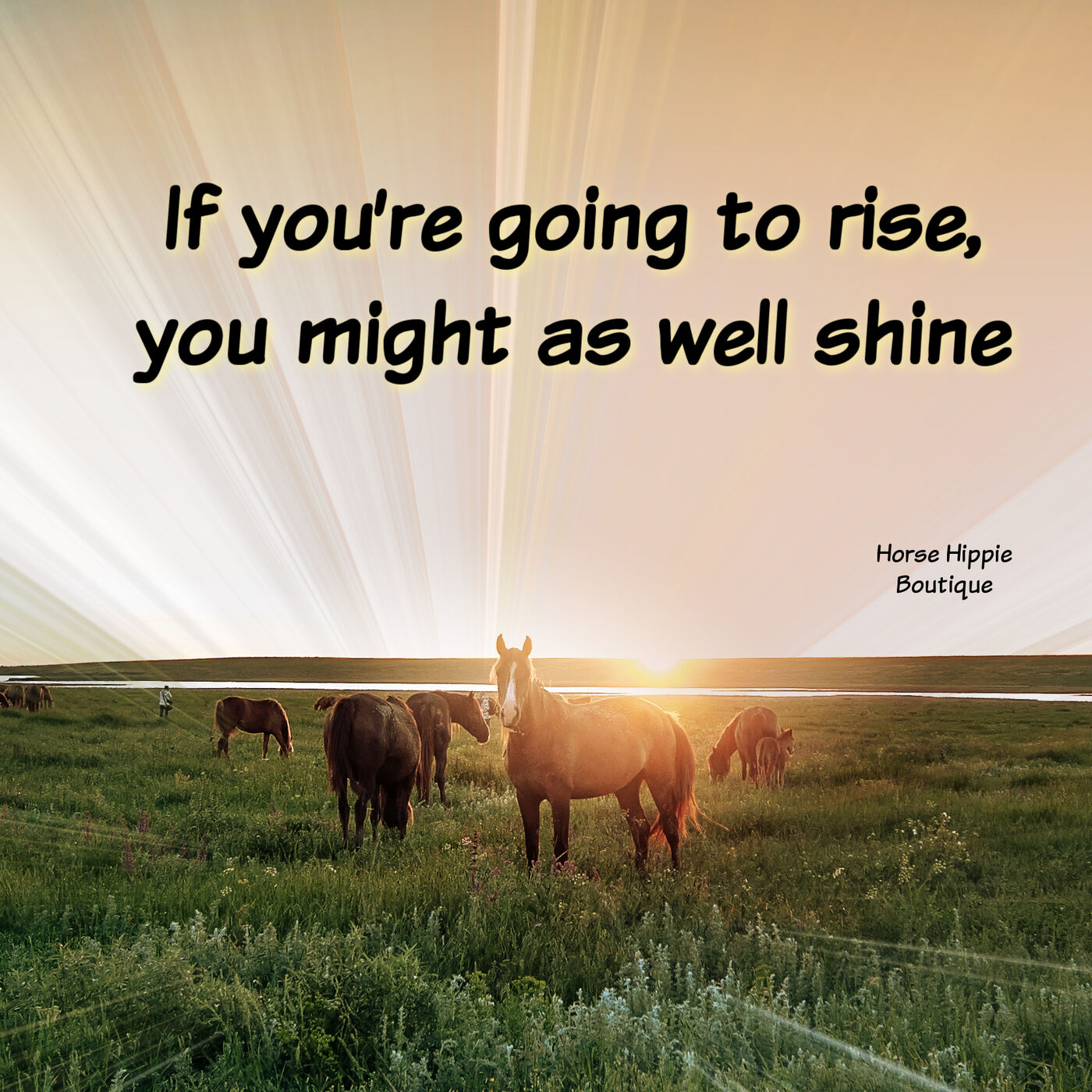 Willing to Shine