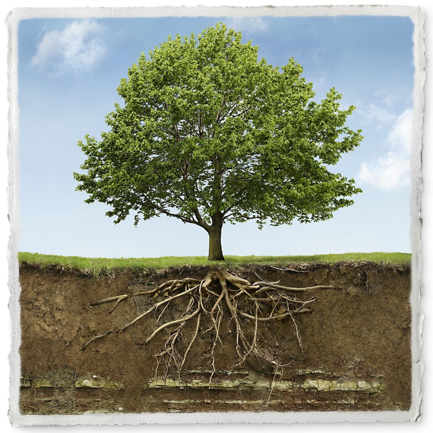 2711 Daily Torah Schmooze