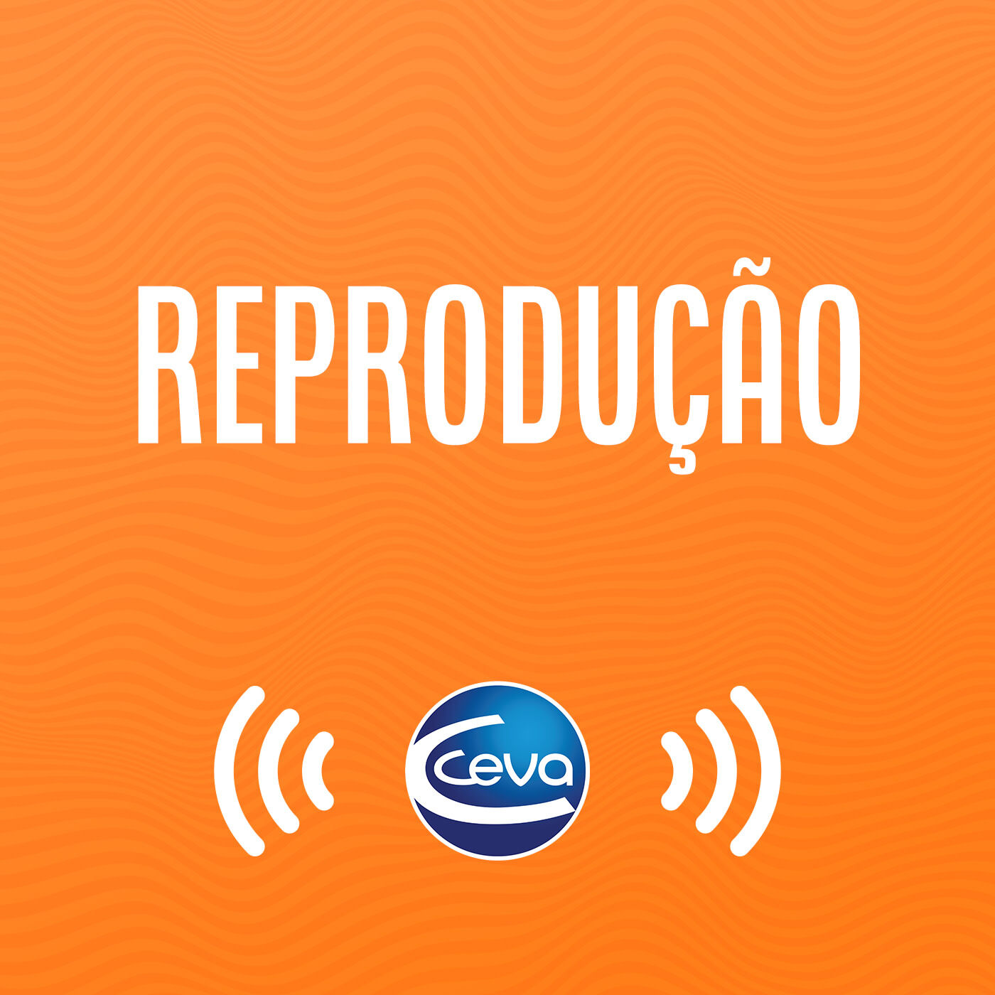 Ceva Sounds BR Equinos
