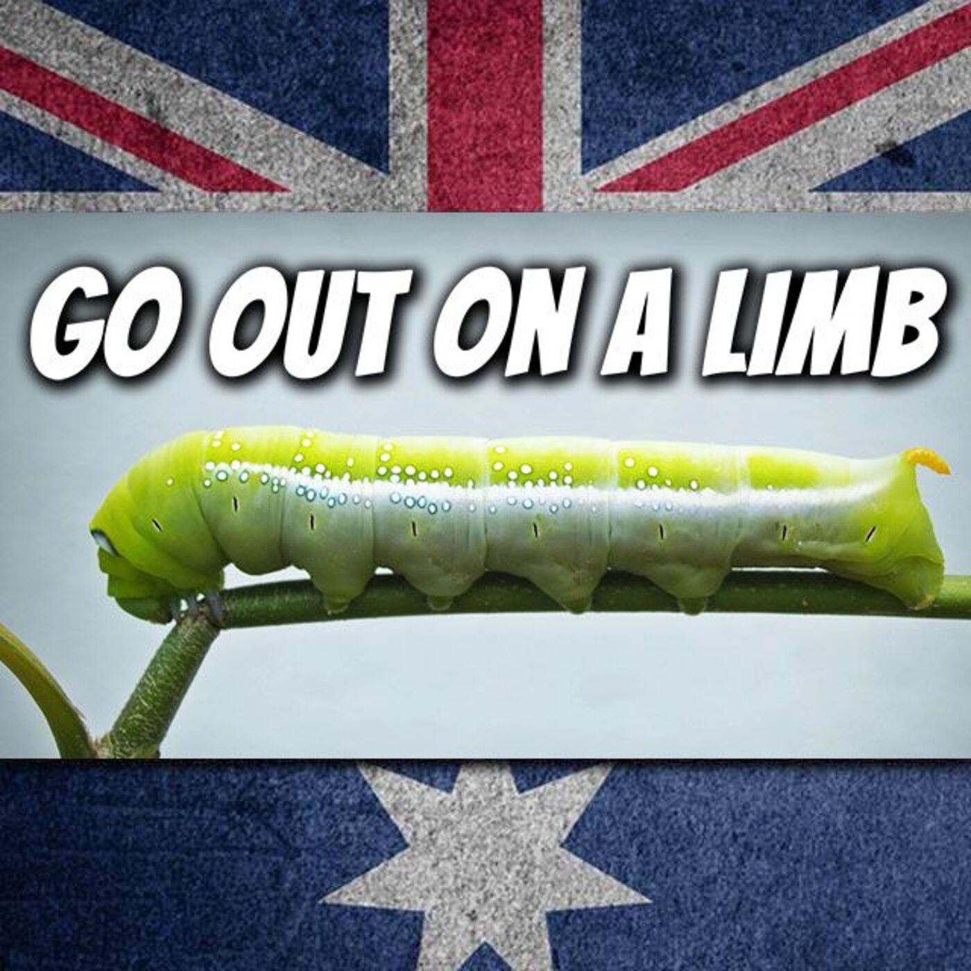 AE 517 - Expression: Go Out On A Limb