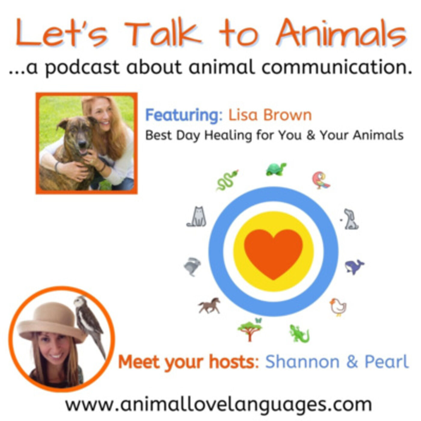 Let\'s Talk to Animals