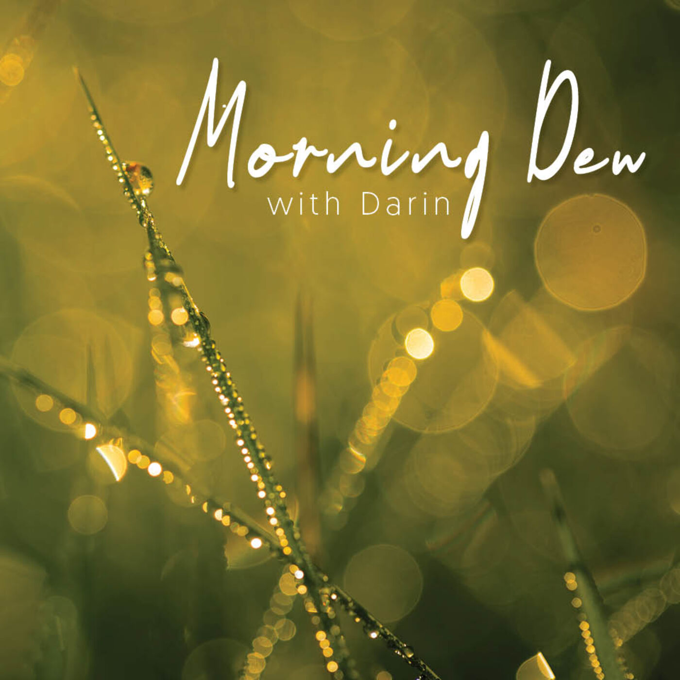Morning Dew with Darin