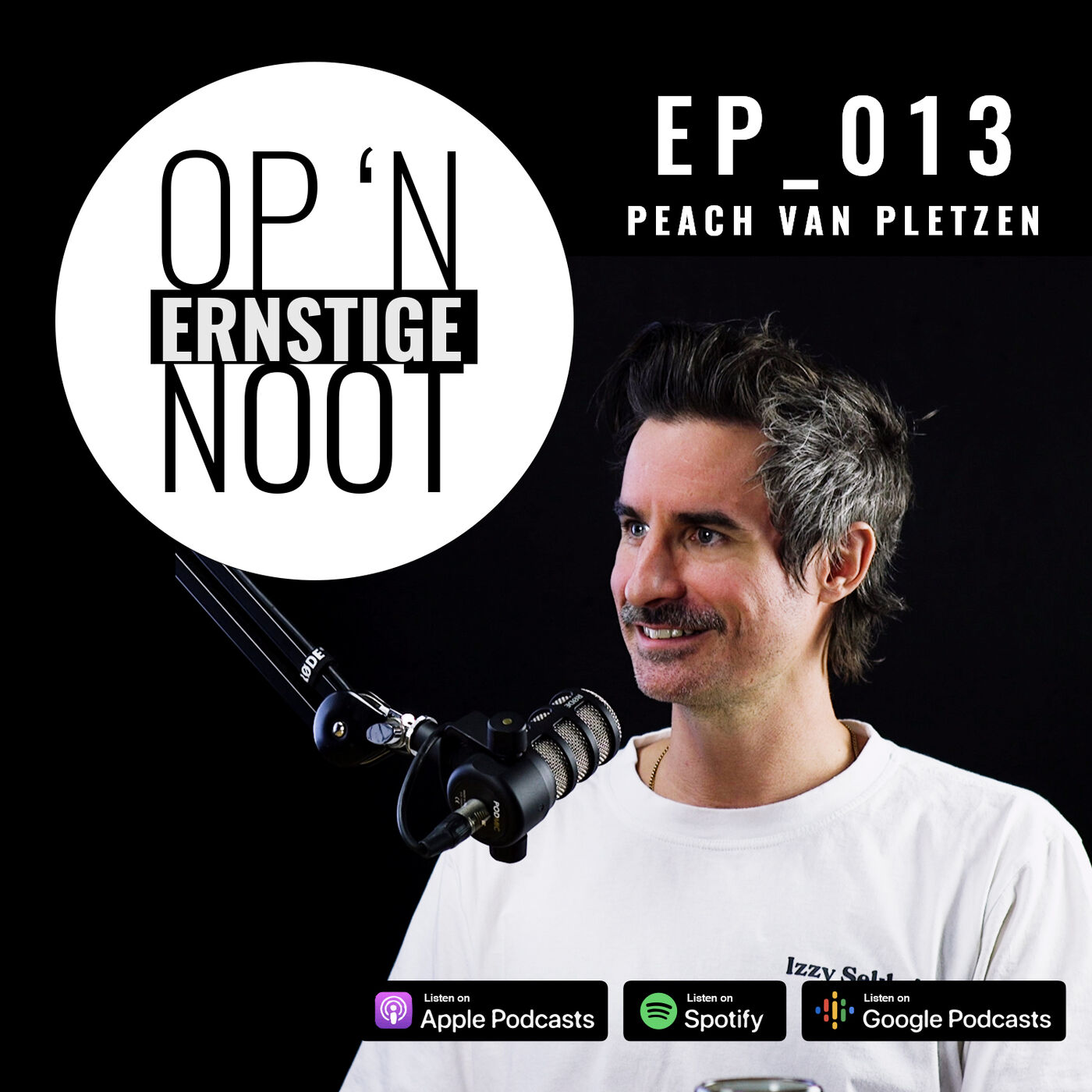 Op \'n Ernstige Noot: Chats met Rikus de Beer