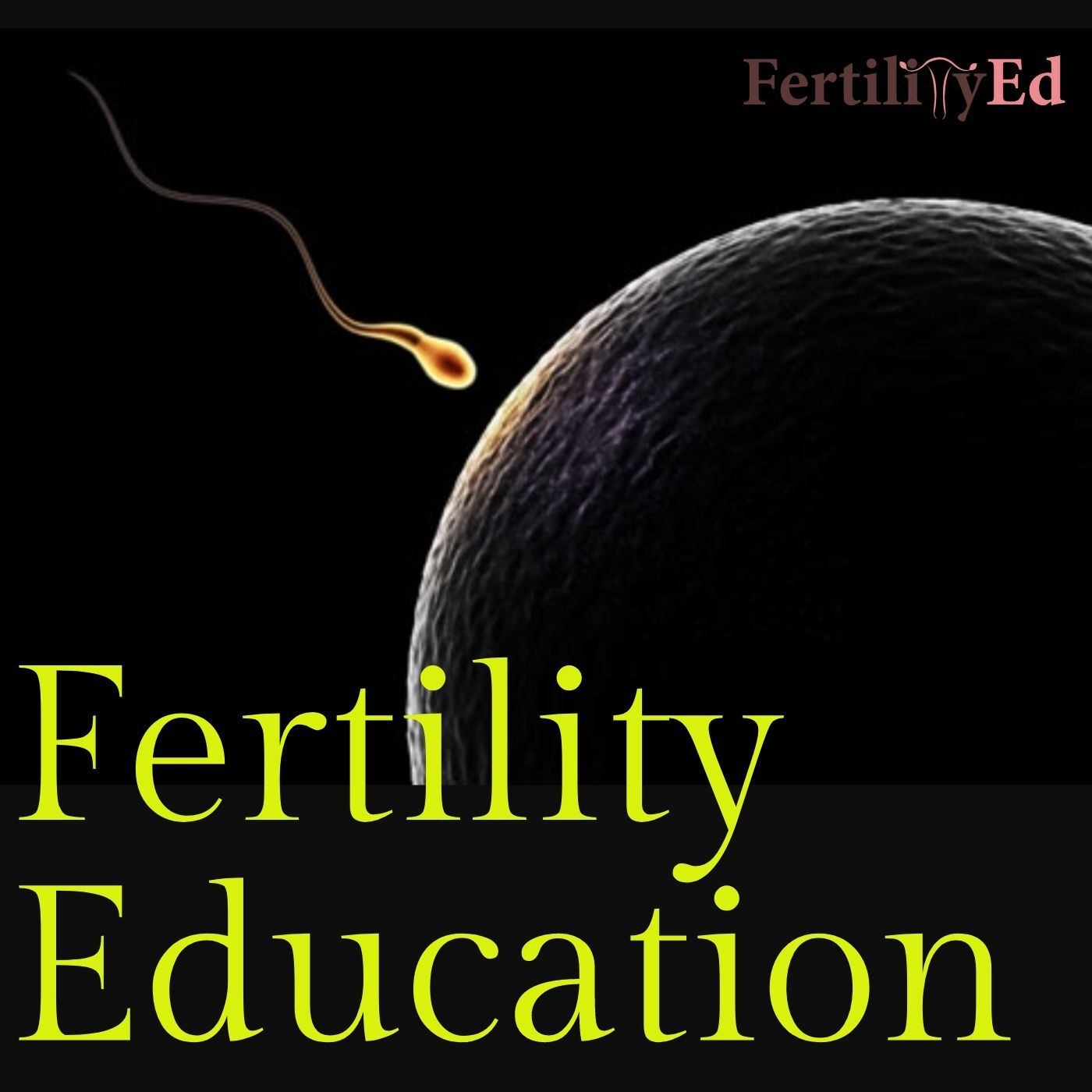 When Did I Conceive? (Most Commonly Asked) Learn How To Calculate