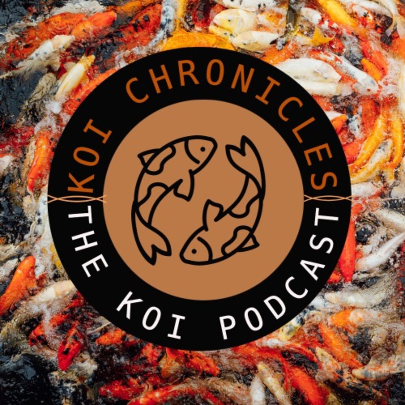 The Koi Chronicles: Tales from Koi Keeping around the world