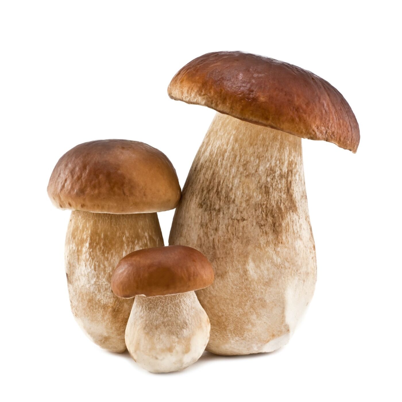 Cucina Naturale