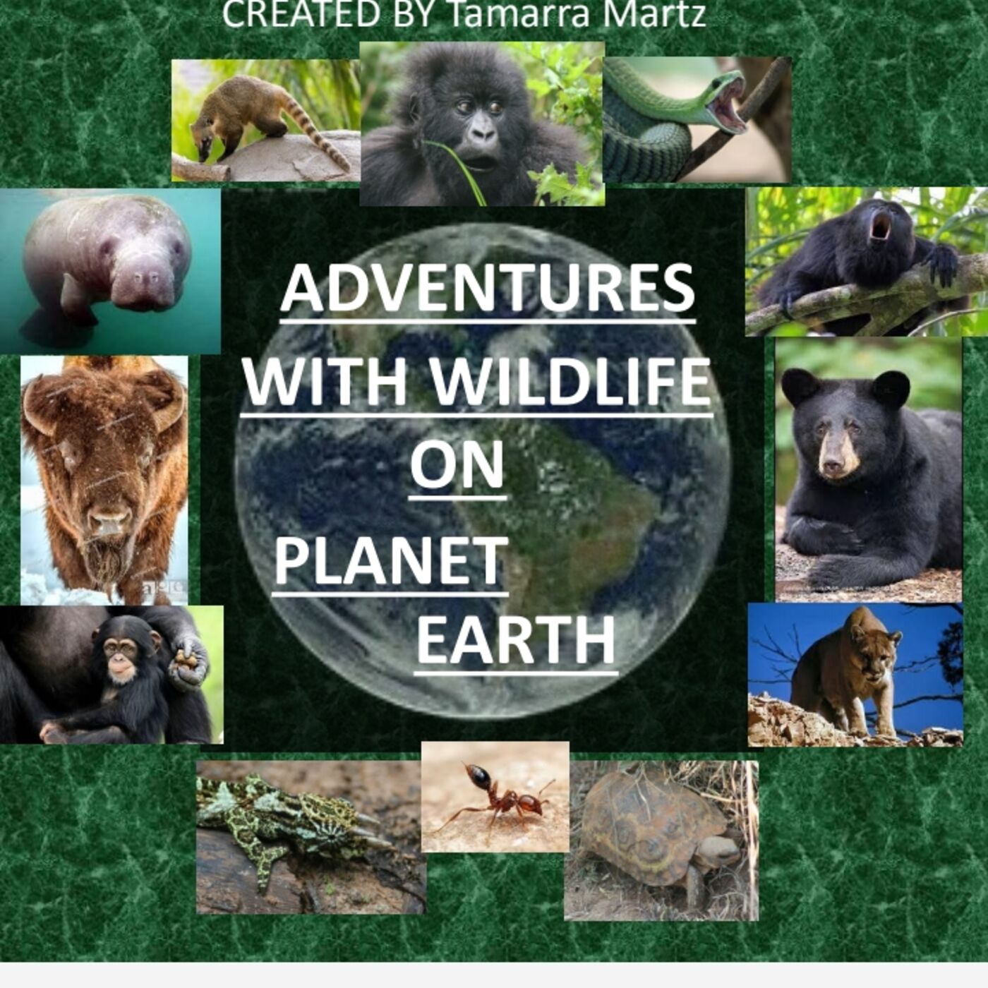 ADVENTURES WITH WILDLIFE ON PLANET EARTH