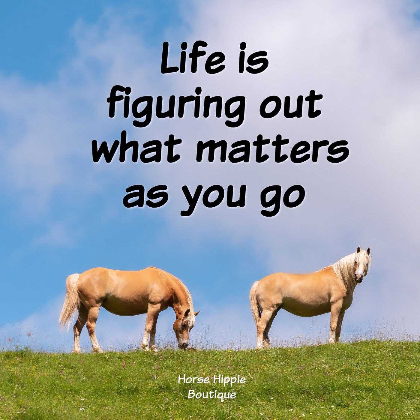 Life is About Figuring It Out