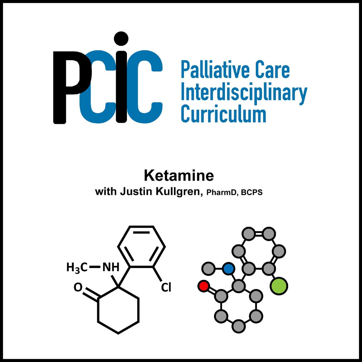 Palliative Care Interdisciplinary  Curriculum