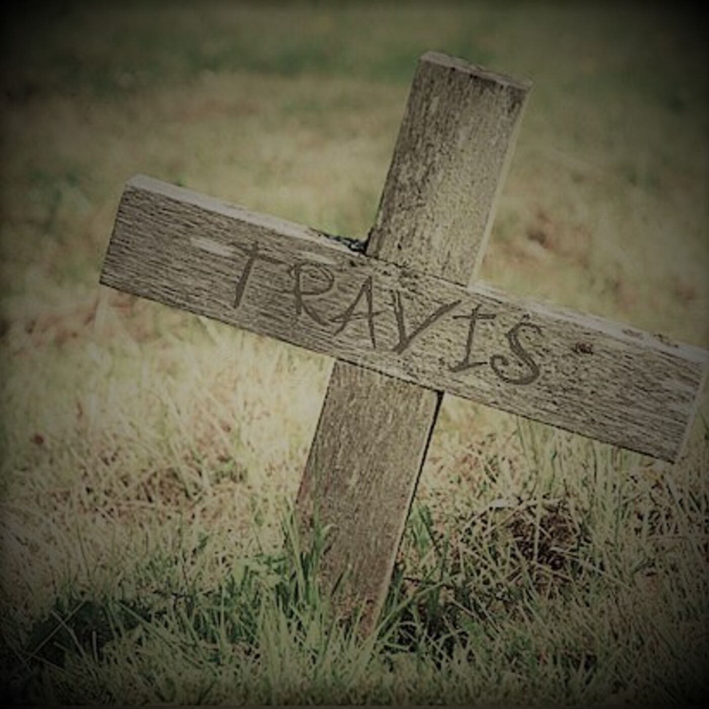 After the Virus - a Surviralist\'s Journal