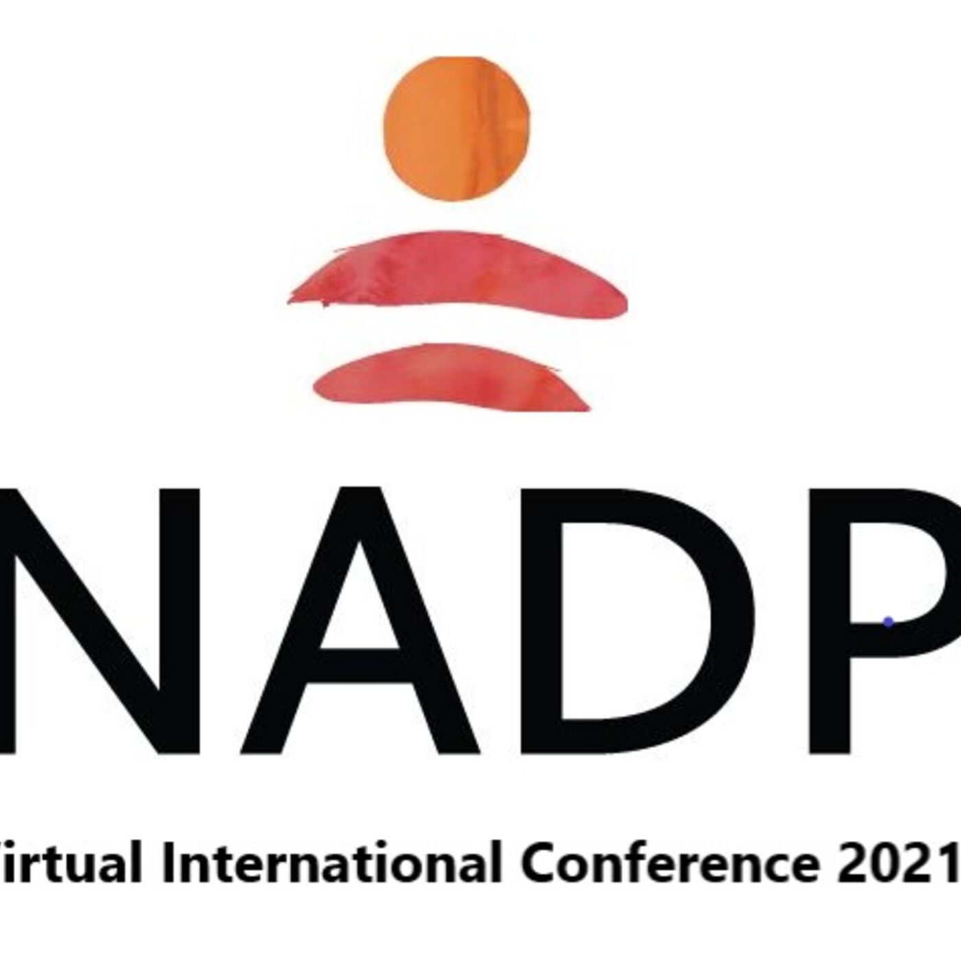 National Association of Disability Practitioners