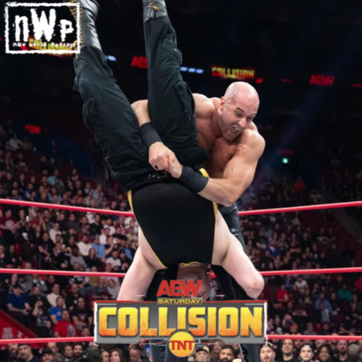 nWp: Collision (12/9/2023)