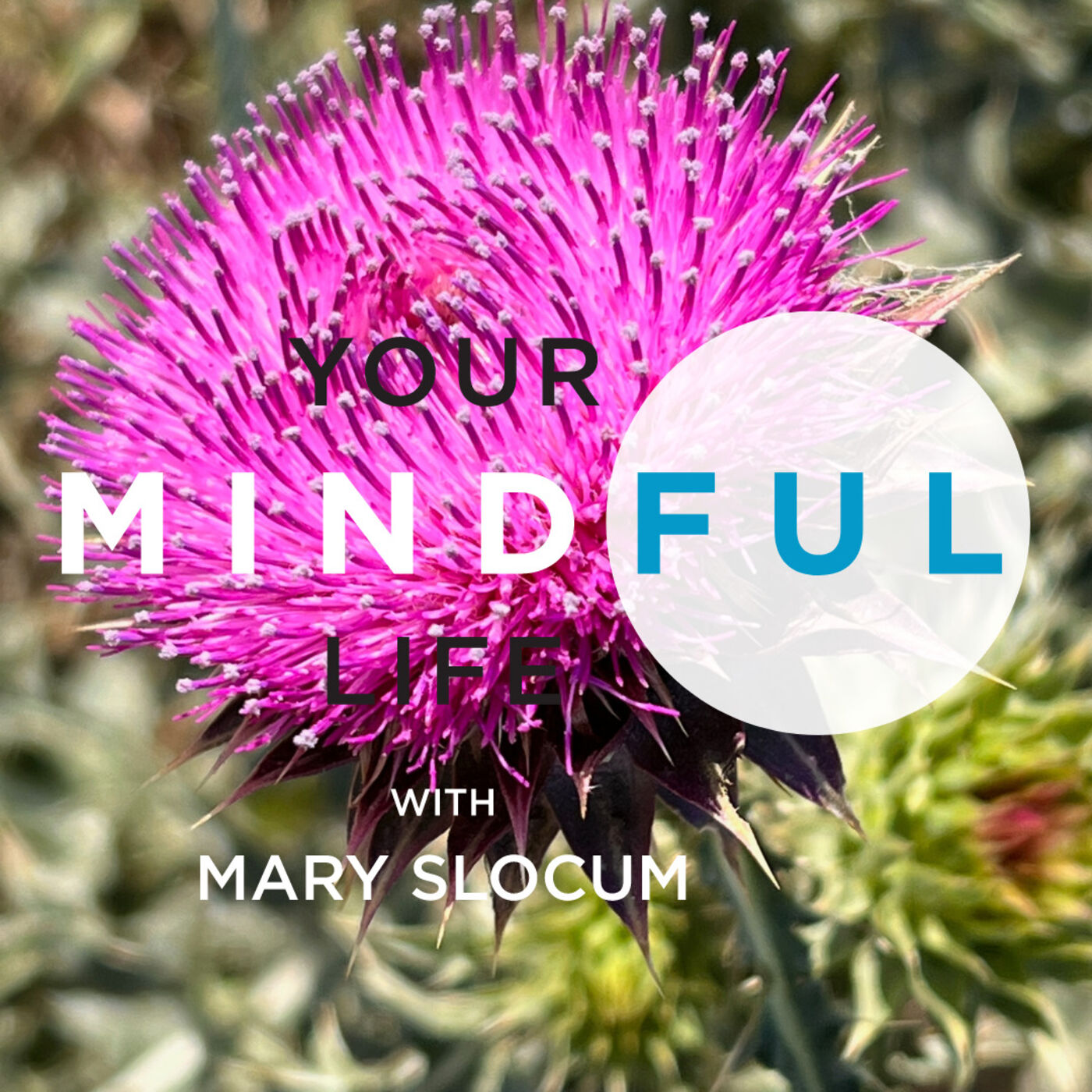 Your Mindful Life