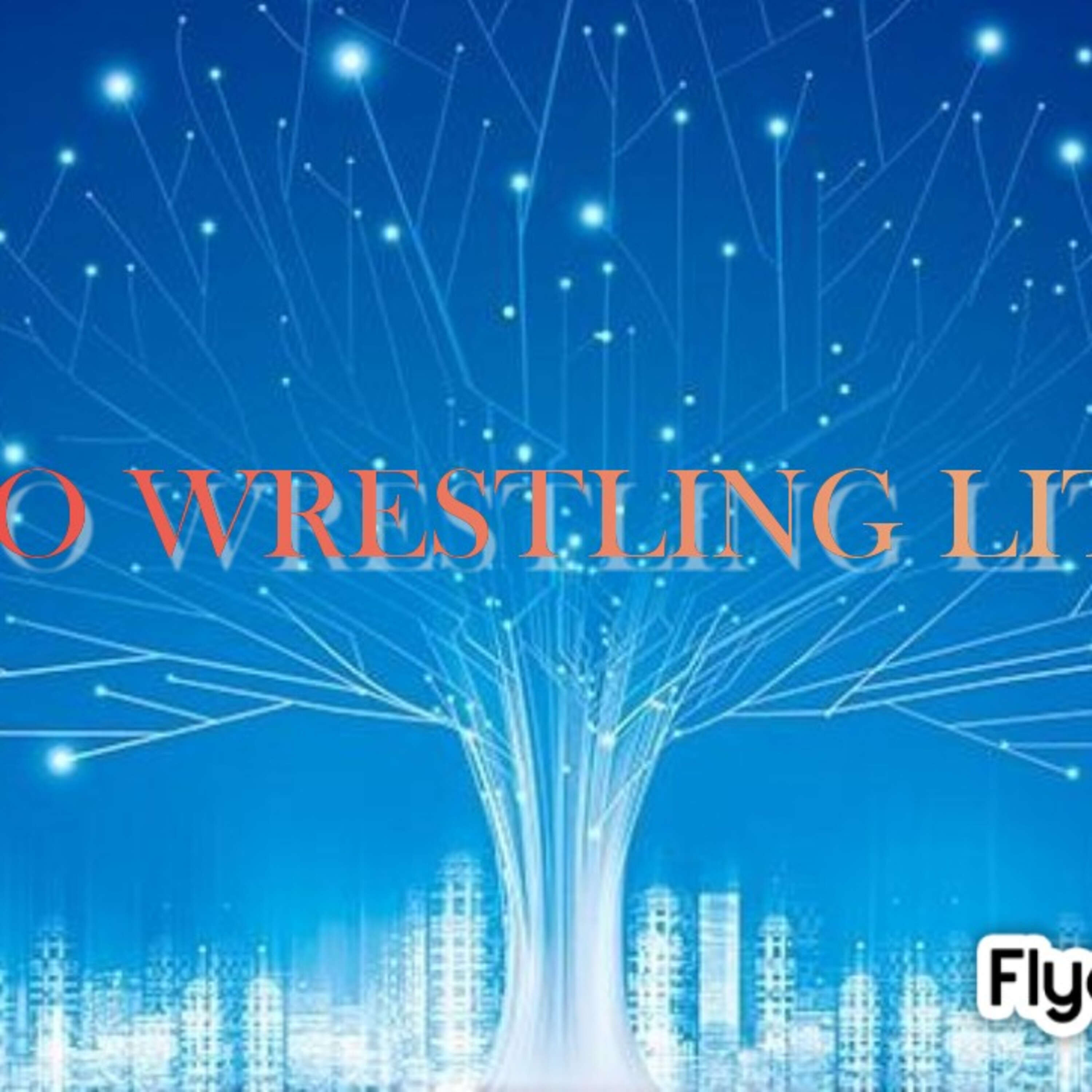 Pro Wrestling Lite podcast artwork