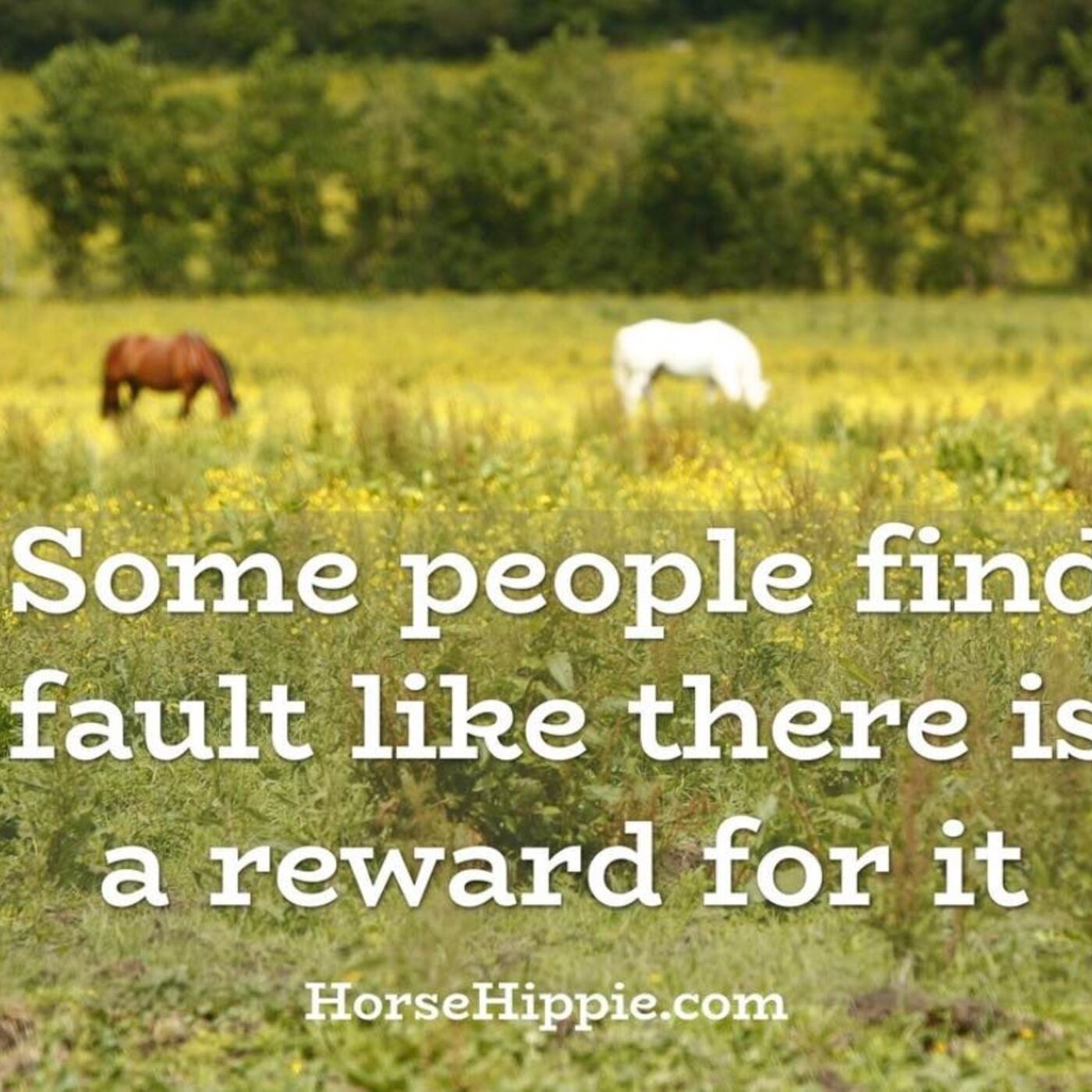 Focus on the Flowers