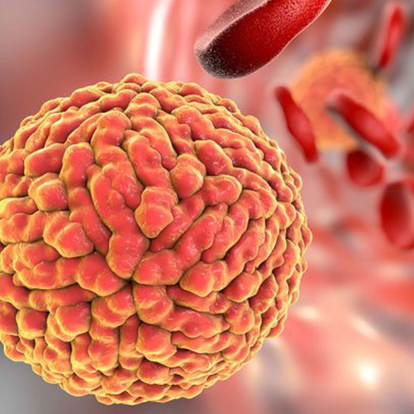 The Changing Impact of Infections as We Go Through Life and Age