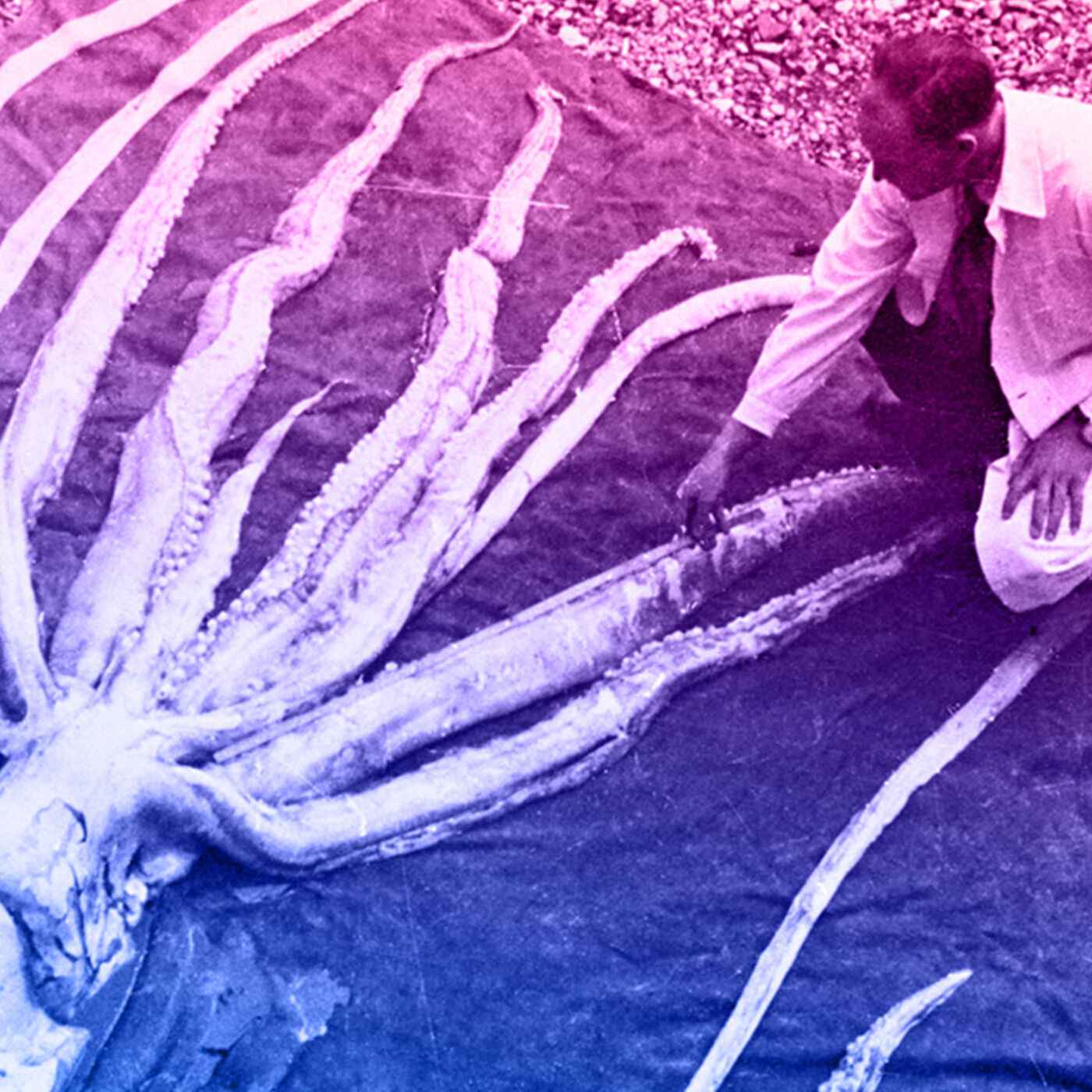 Exploring the Deep Sea