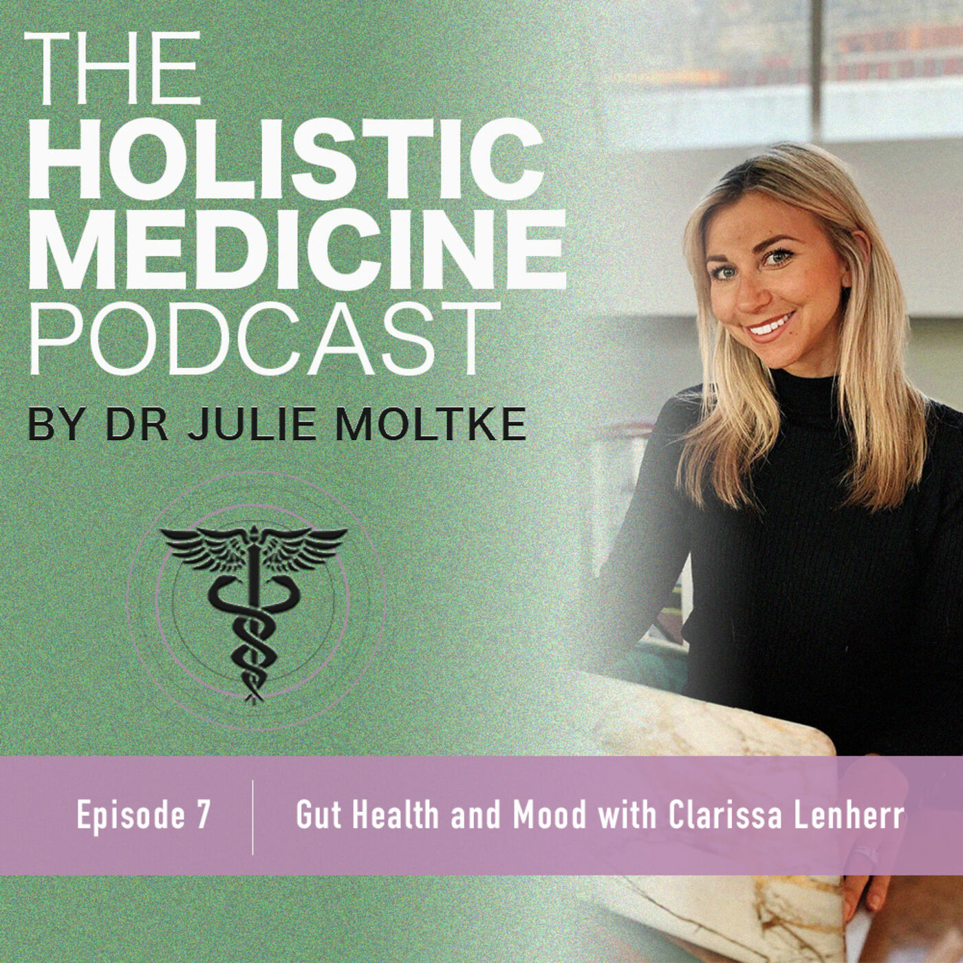 The Holistic Medicine Podcast by Dr Julie Moltke