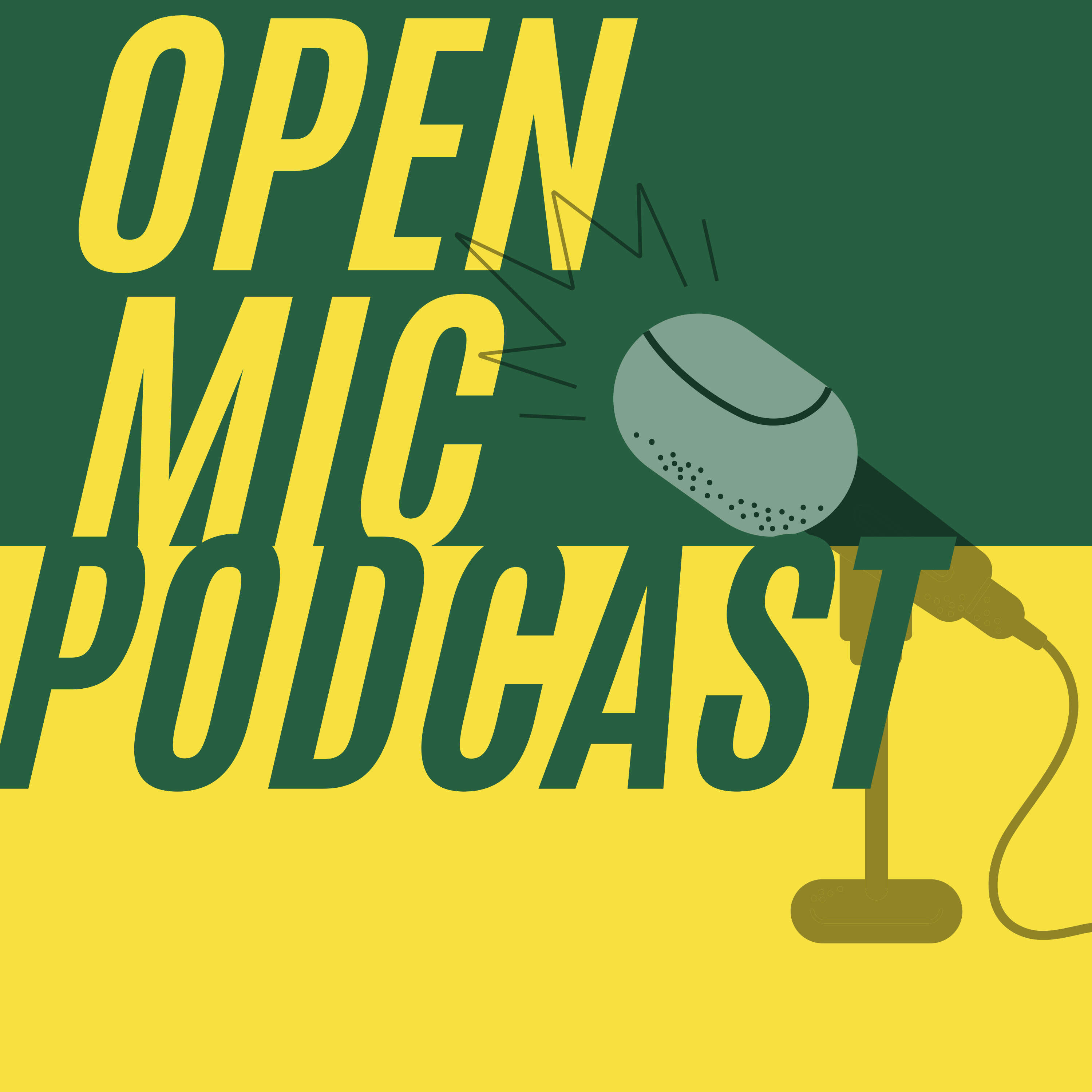 OPEN MIC PODCAST YOUTH cover art