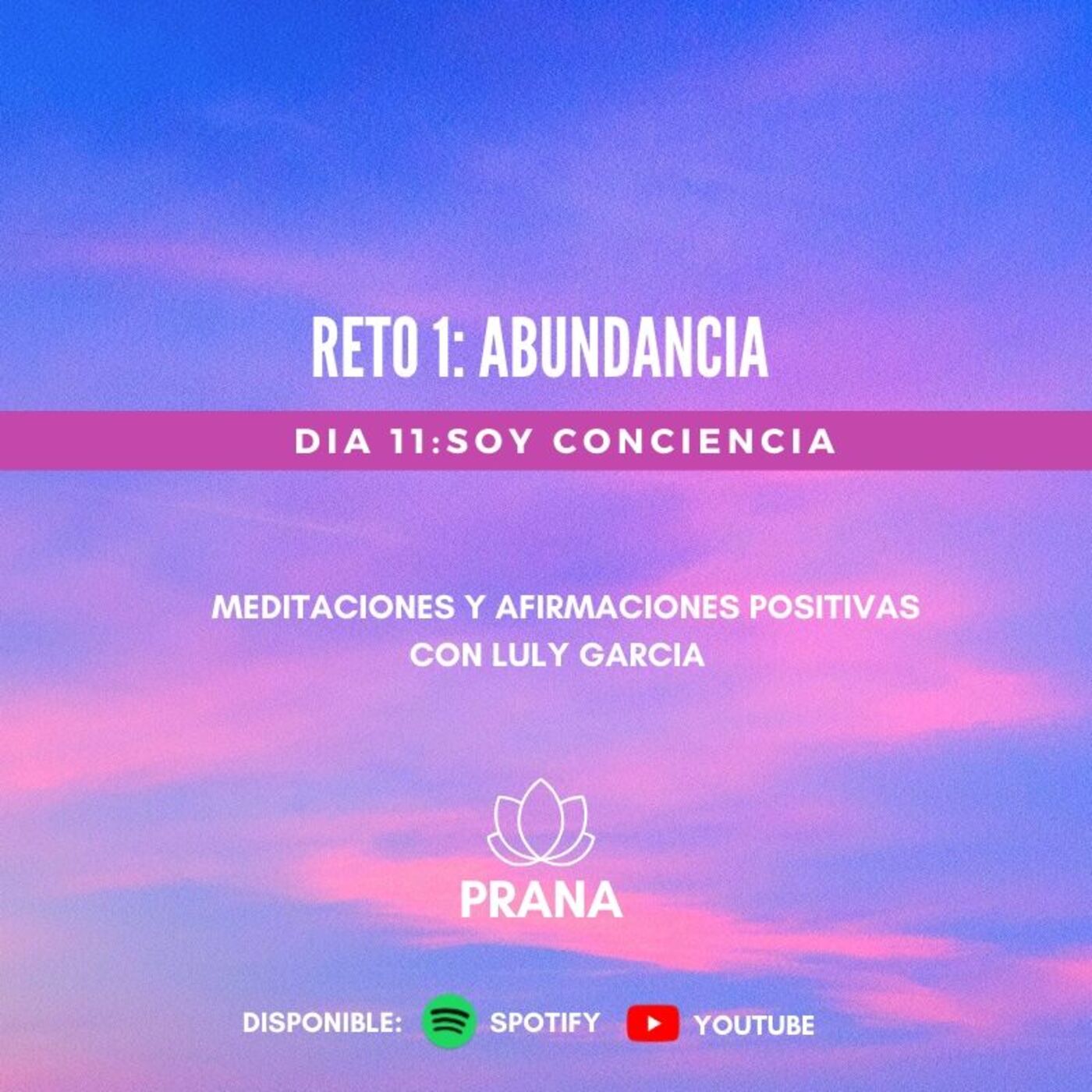 PRANA. Meditaciones con Luly Garcia