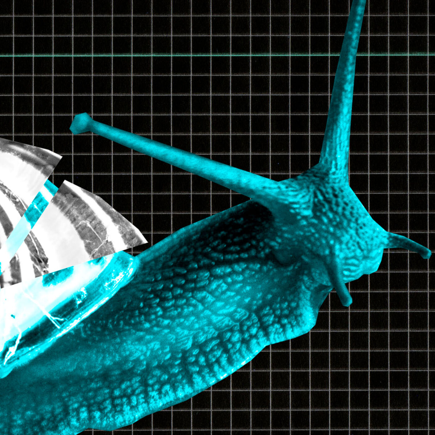 The Maths of Proportion in Art, Design and Nature