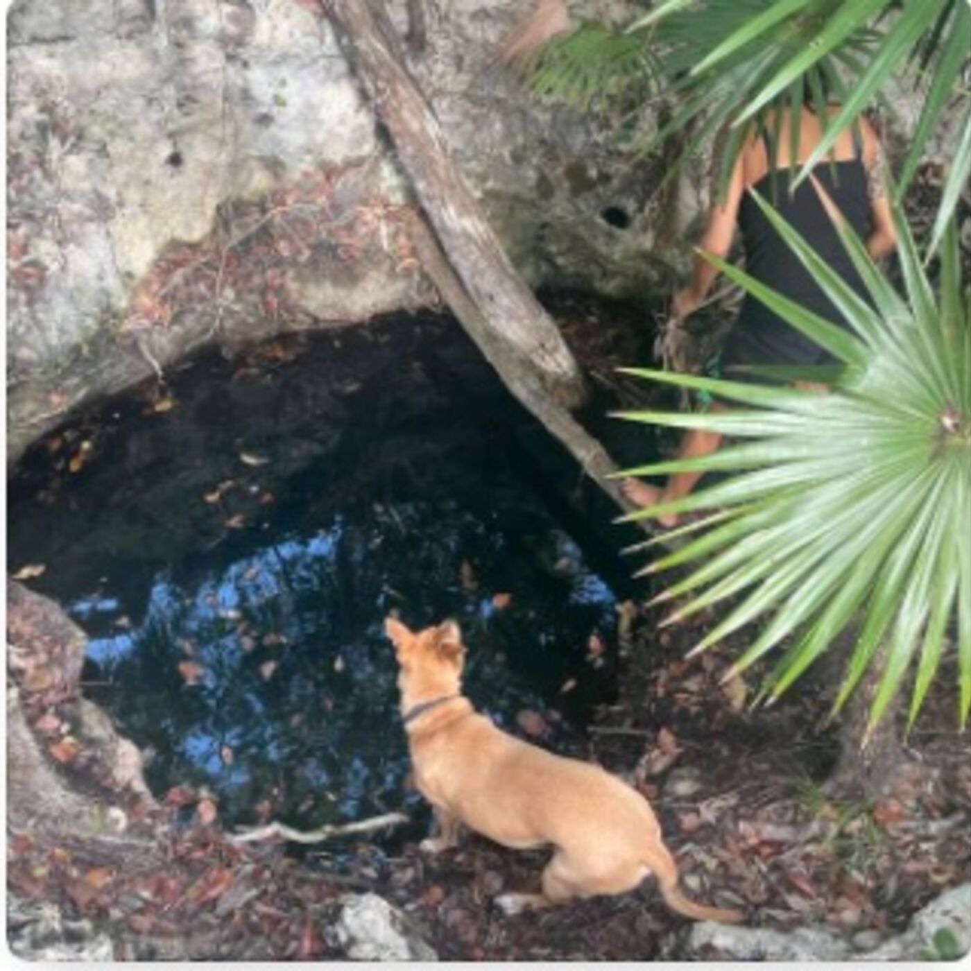 Tulum Underwater  (a cave diver's memoir)