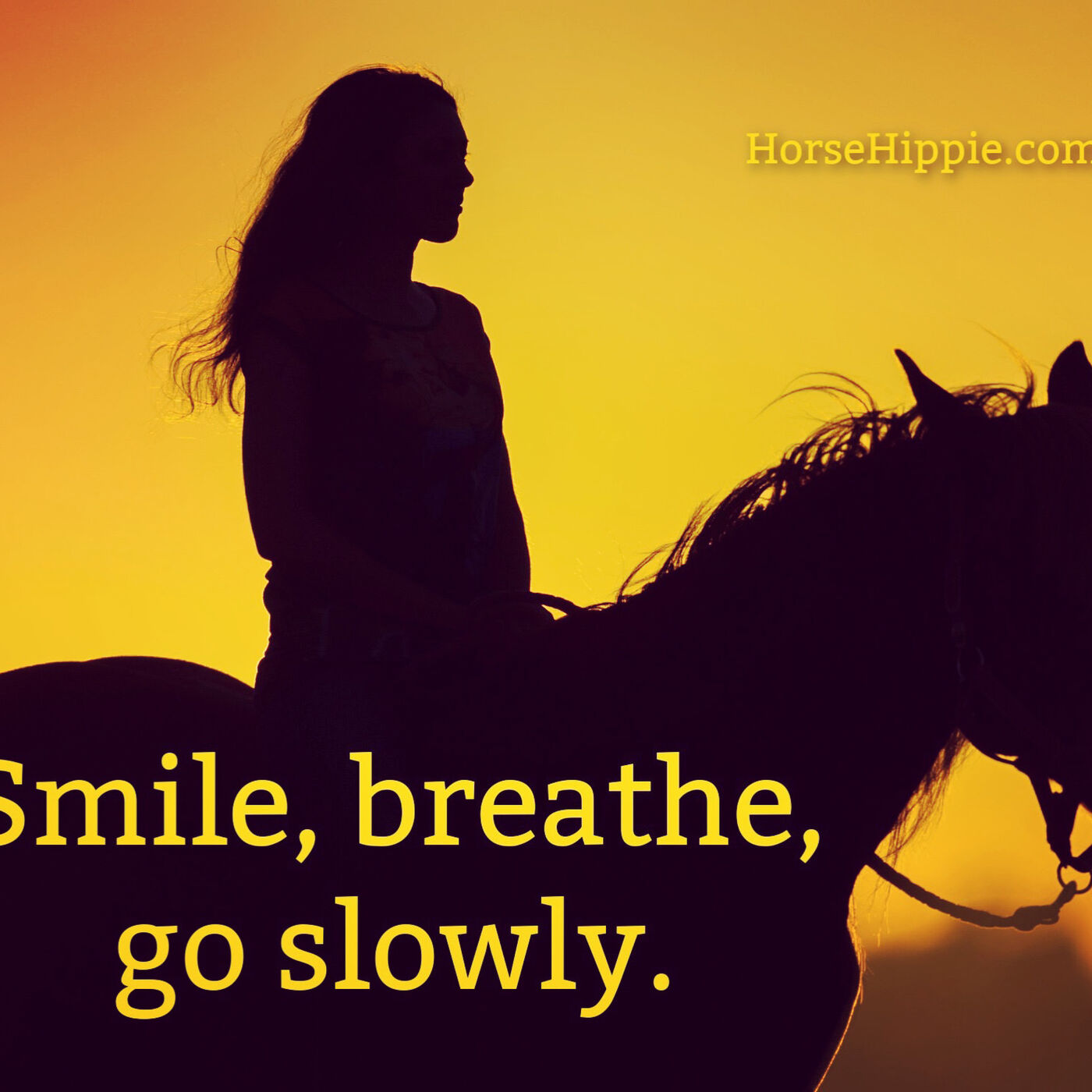 Slow Down and Reflect