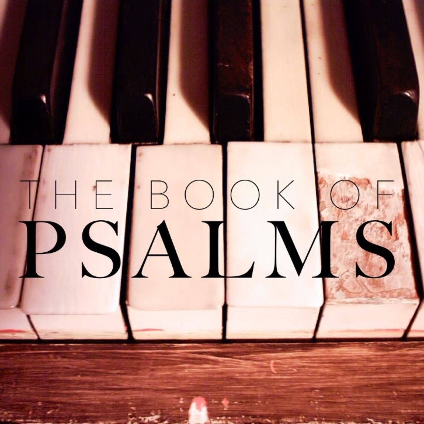 The Book of Psalms: Seek First (Psalm 2)