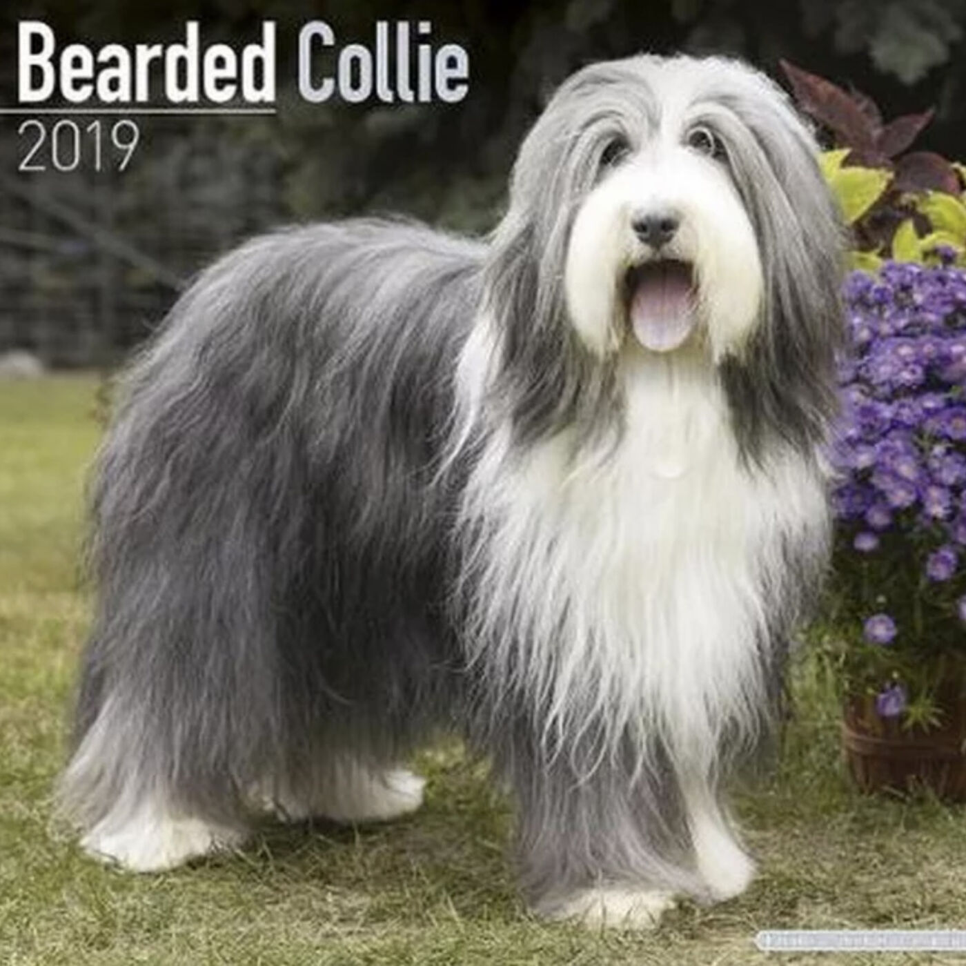 Friday, November 24, 2023 - ASTI, the Pride of Piedmont!