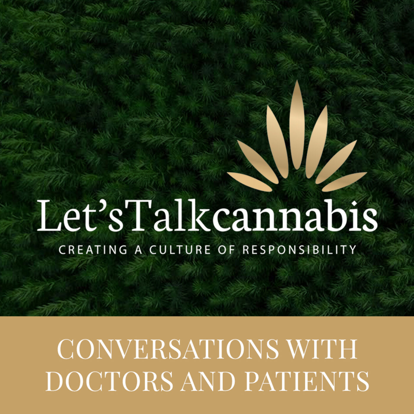 Let\'s Talk Cannabis with Doctors