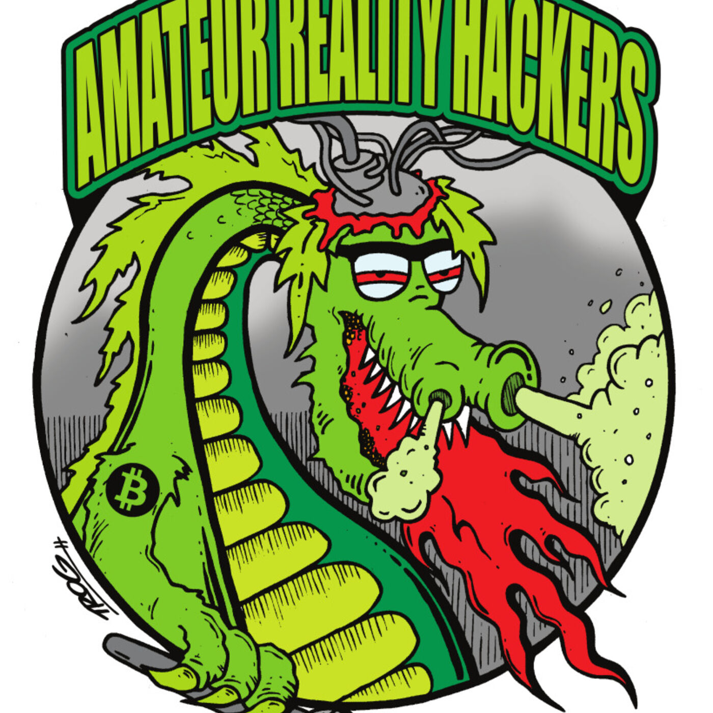 Amateur Reality Hackers
