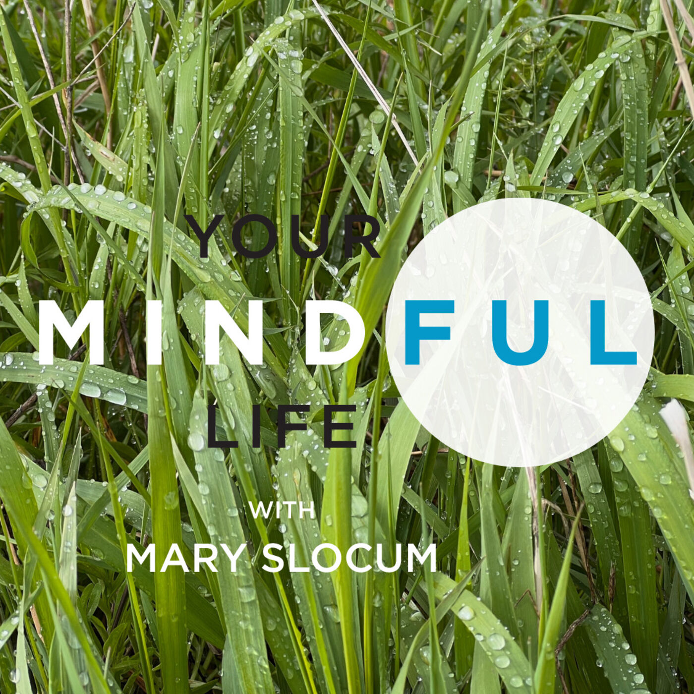 Your Mindful Life