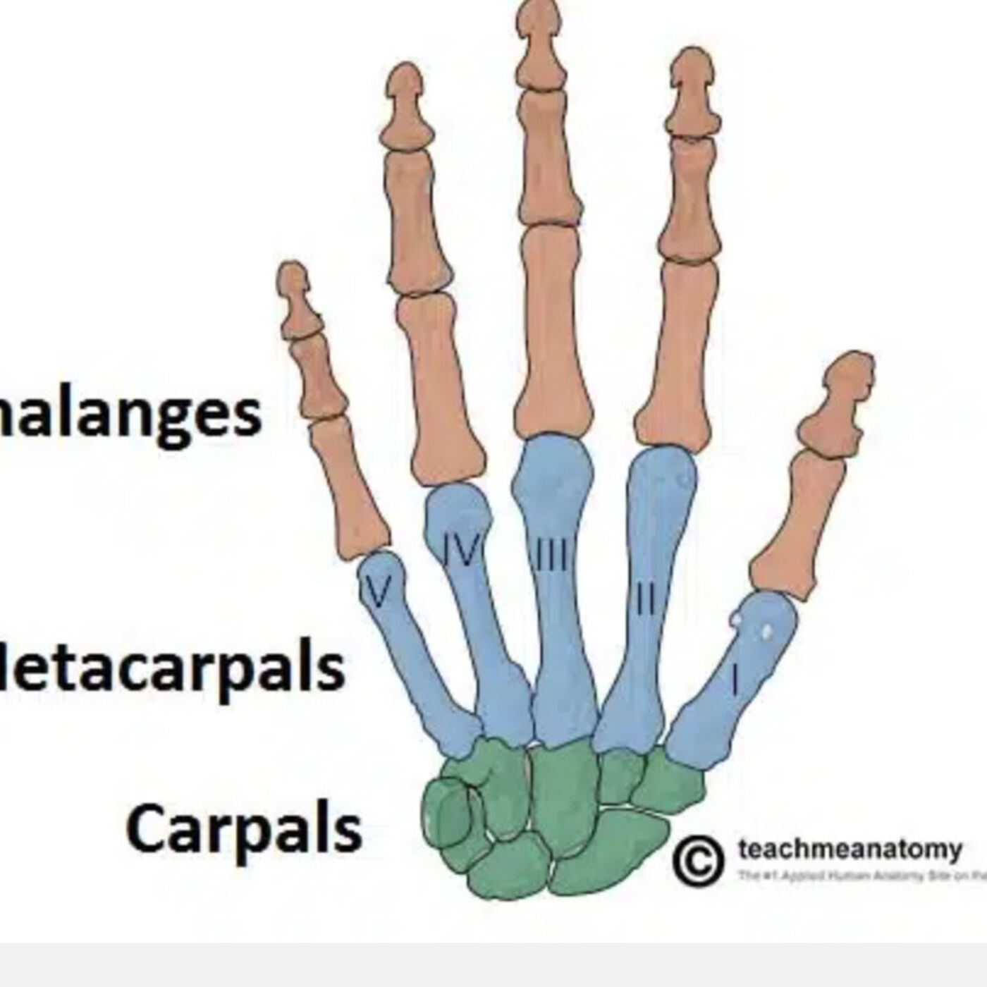 Monday, October 9, 2023 - Look, up there in the sky ... it's a bird ... it's a plane ... no, it's an UBERMENSCH ??