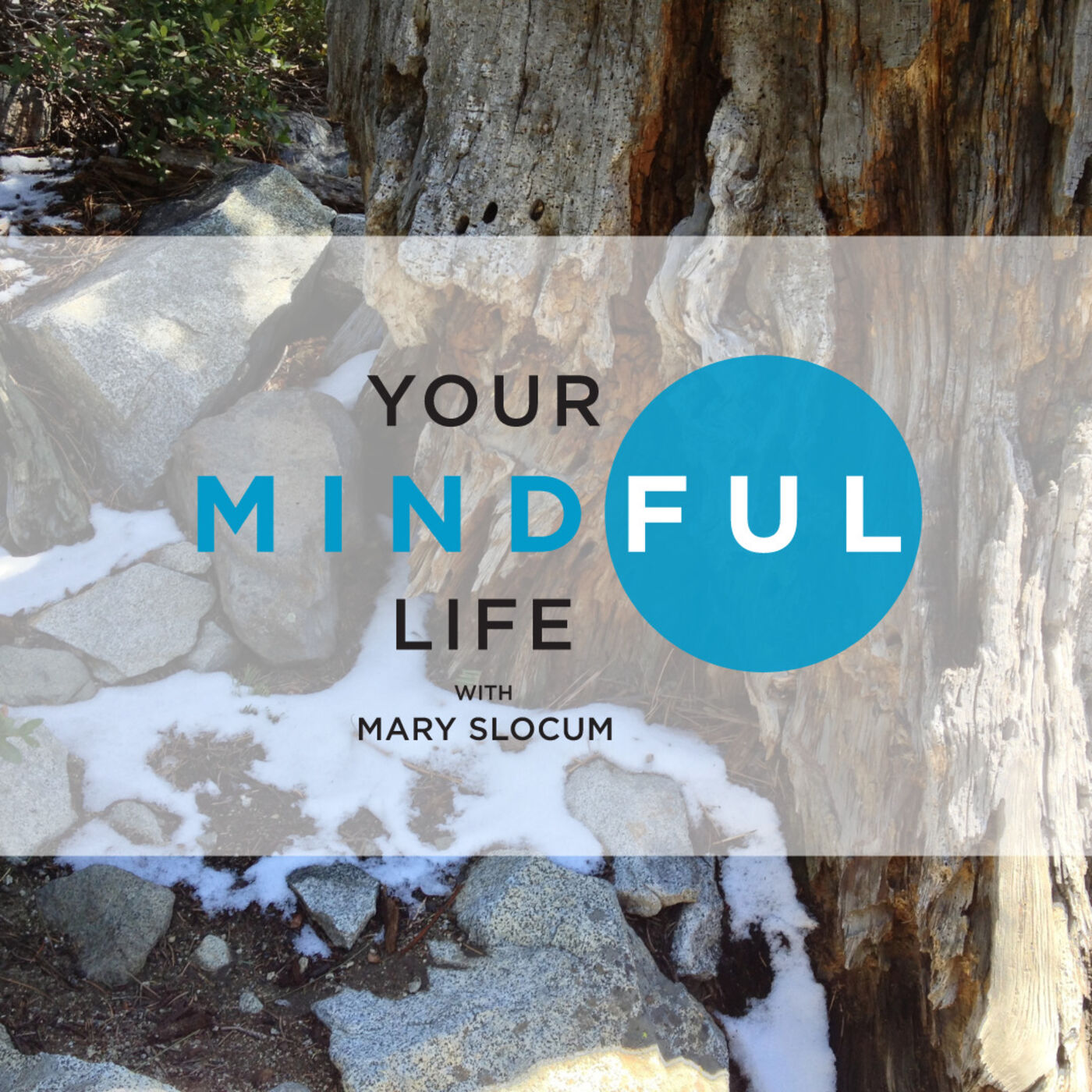 Your Mindful Life