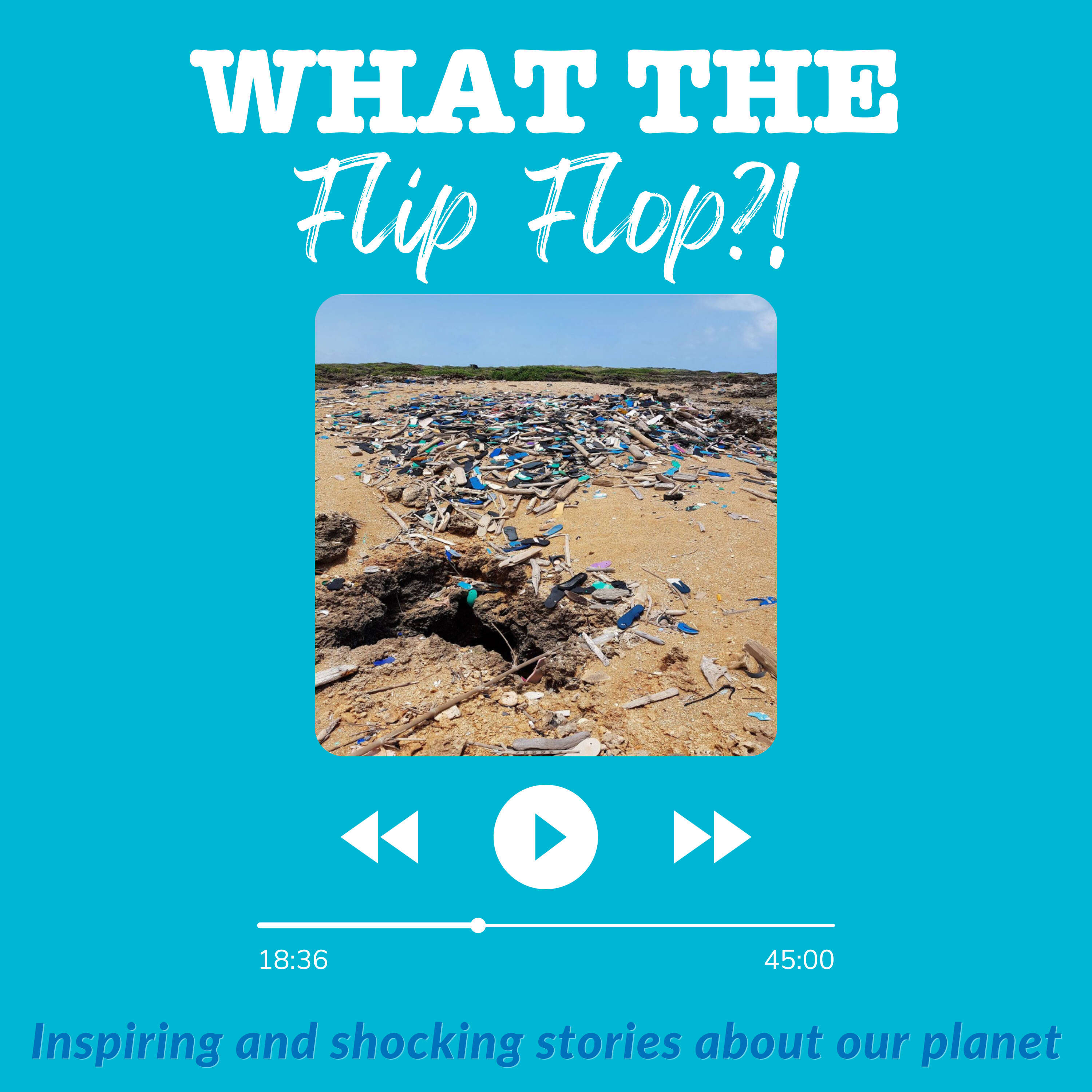 What the Flip Flop?