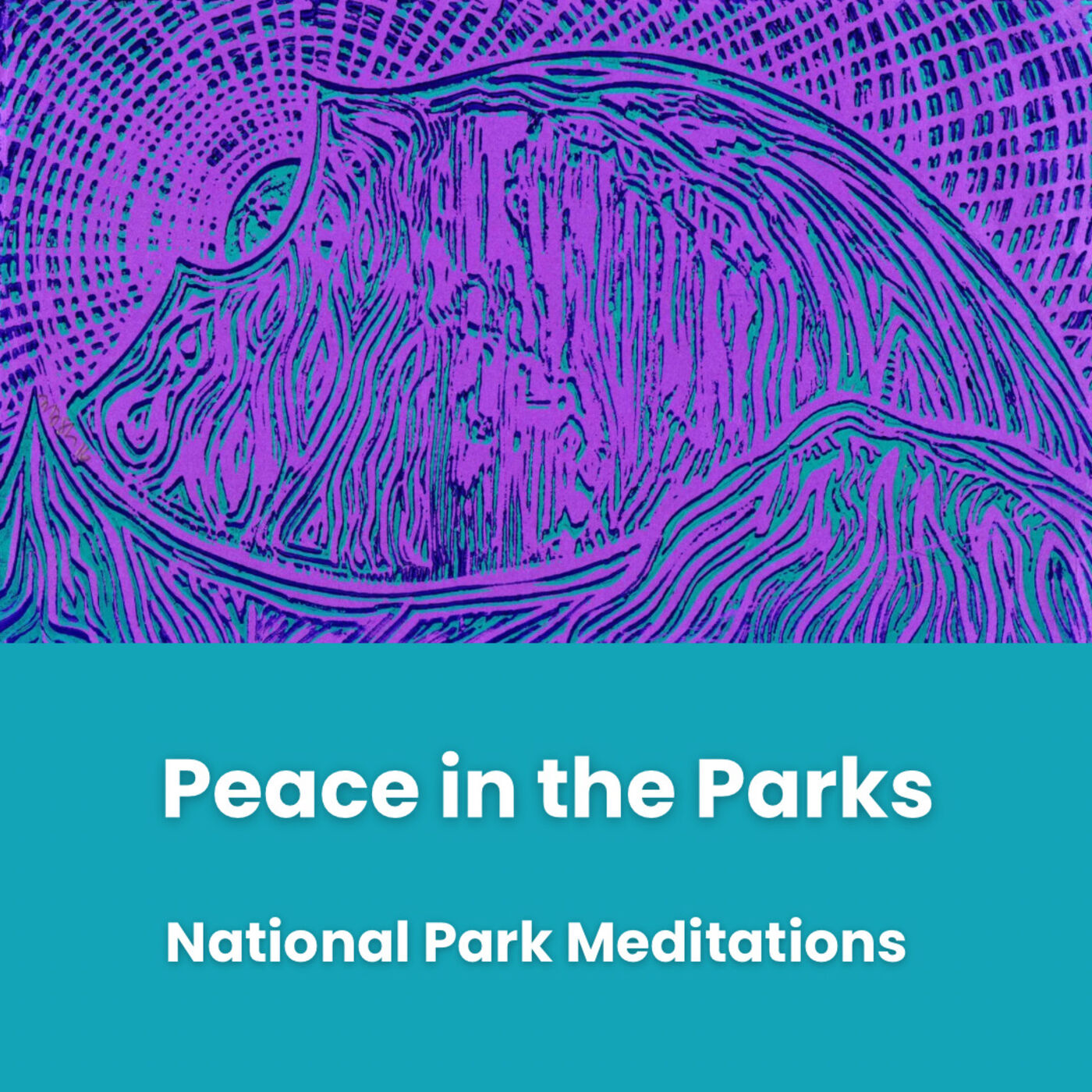 Peace in the Parks