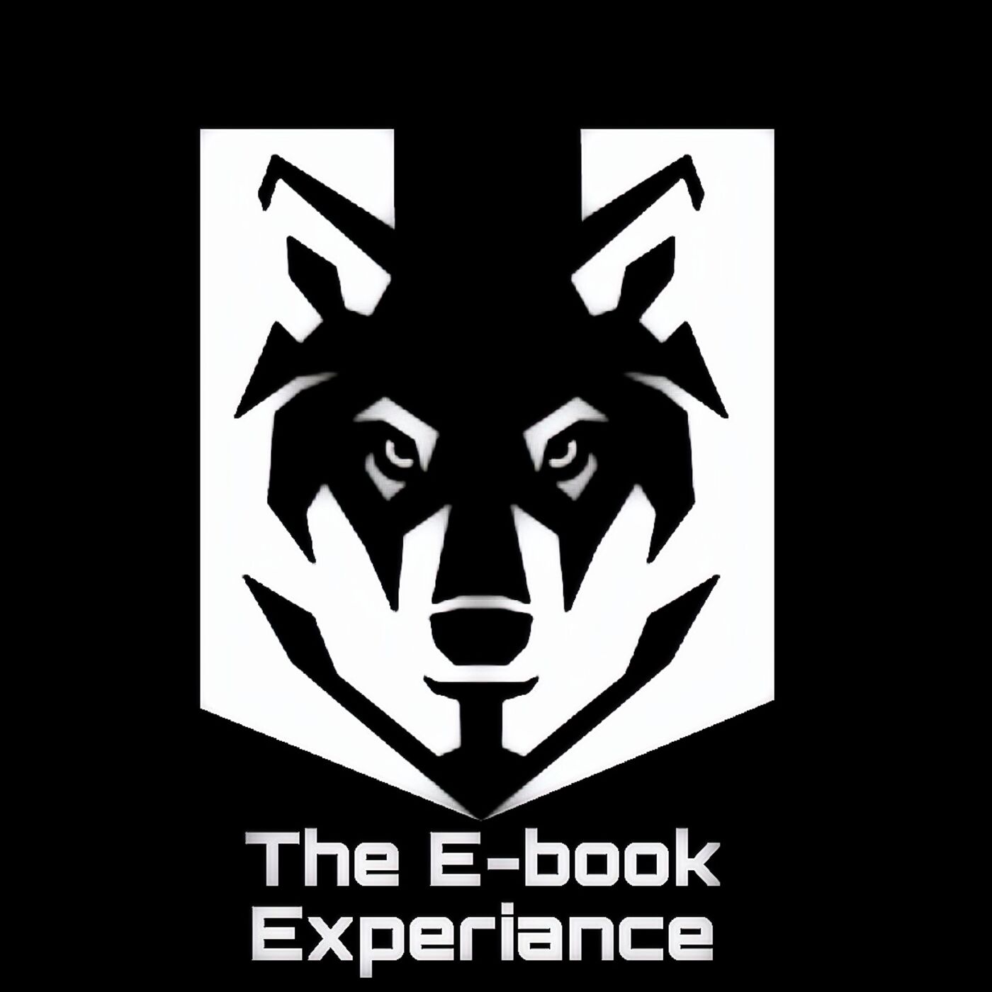 E-book experience soundbites