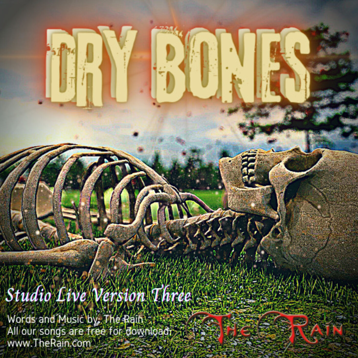Dry Bones - Studio Solo 3