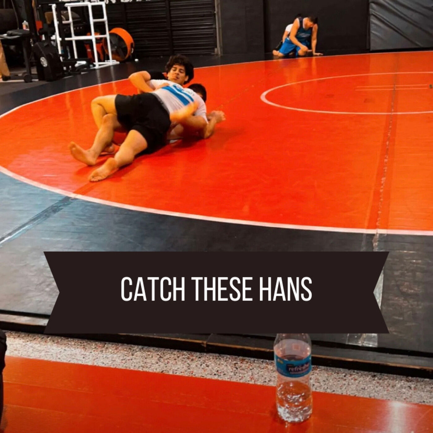 Catch These Hans