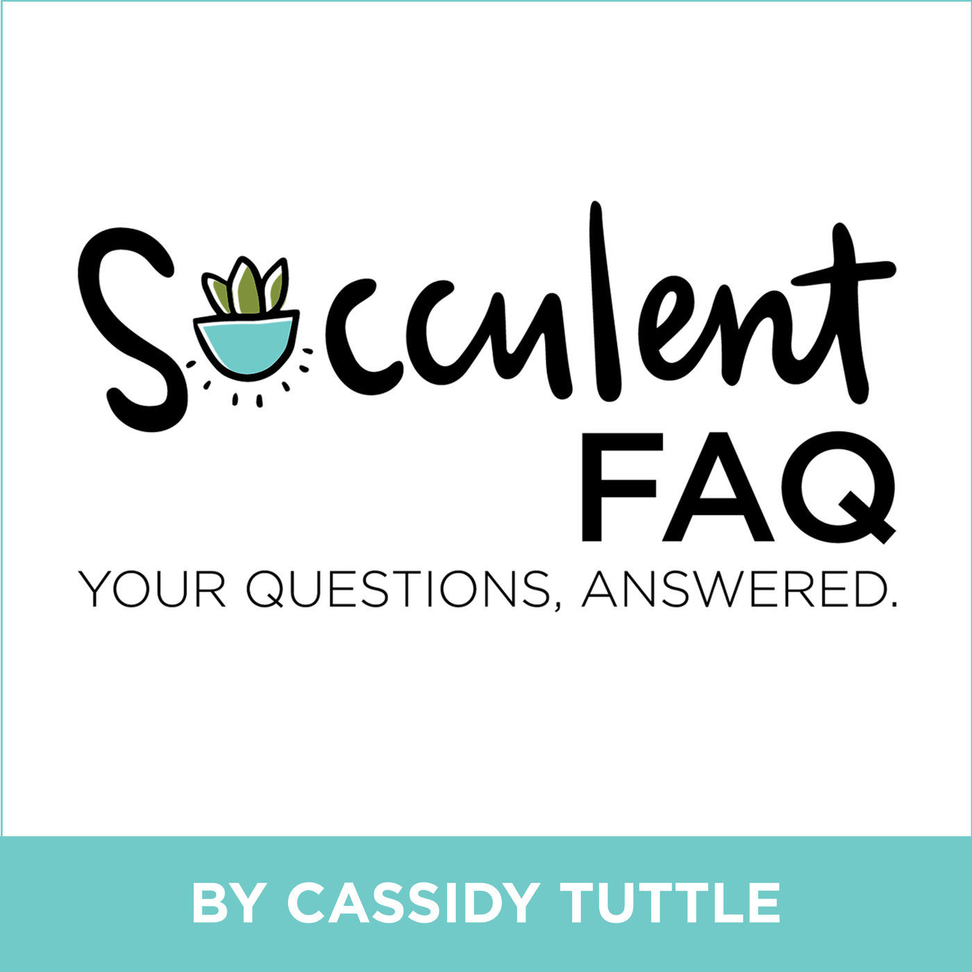 When Should I Repot Succulents with Pups?