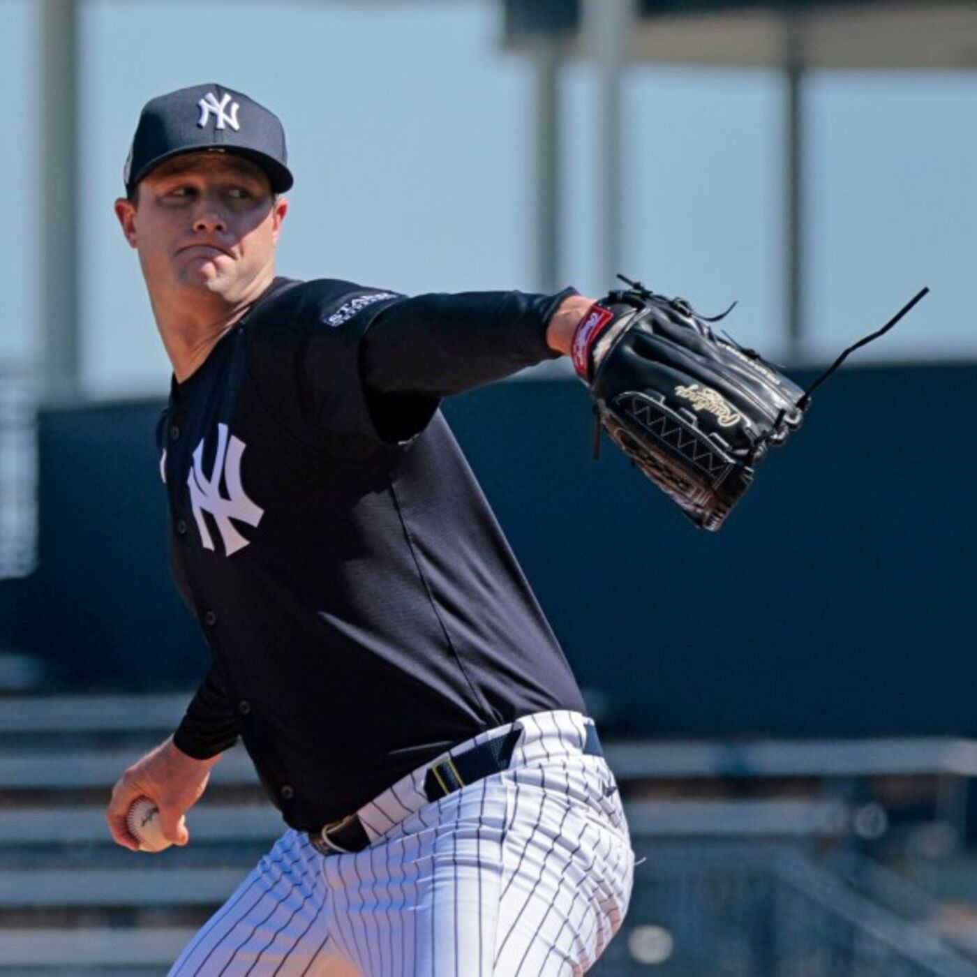 JD TALKIN SPORTS #1523