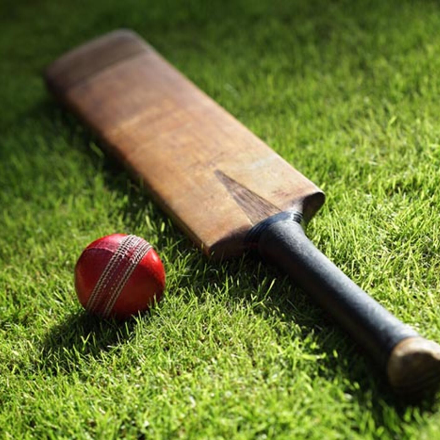 cricket is more