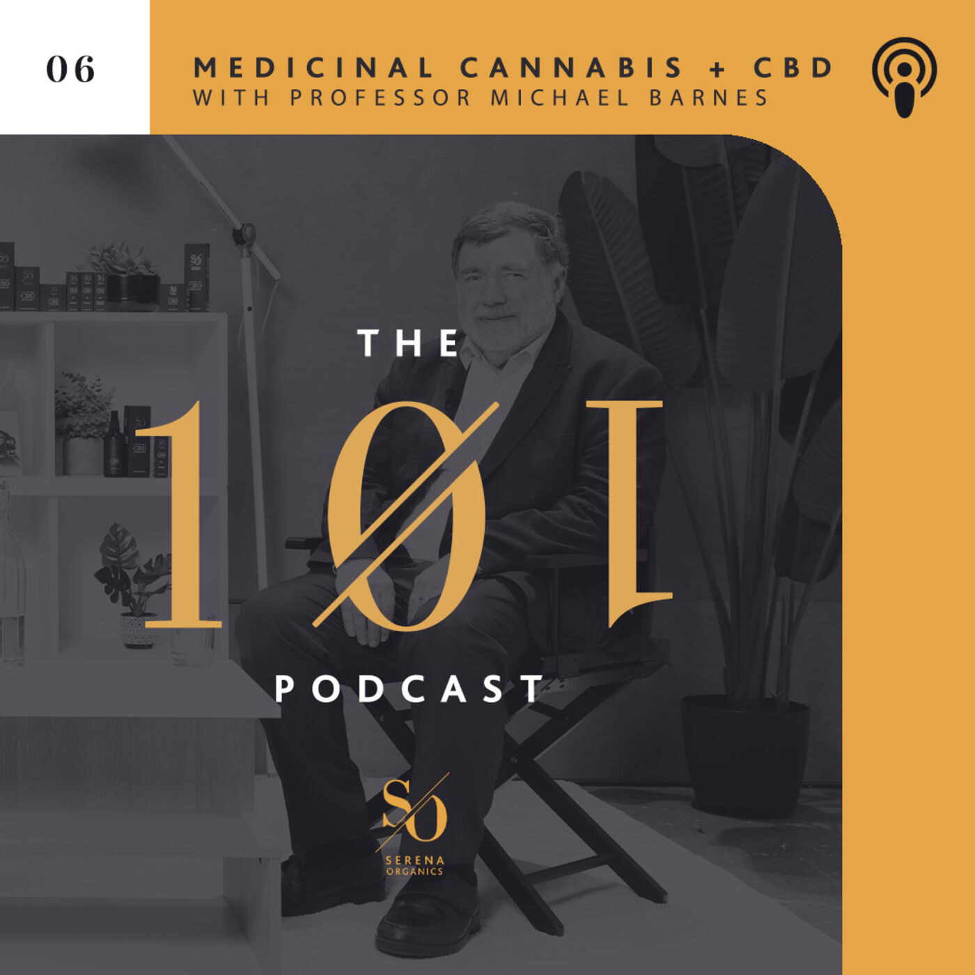 The 101 Podcast